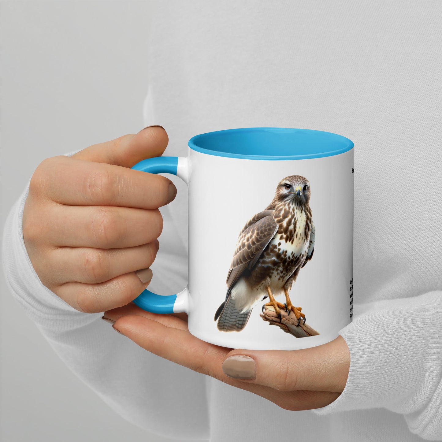 320ml Mug with Colour Inside Birds of Europe 07 Mausebussard