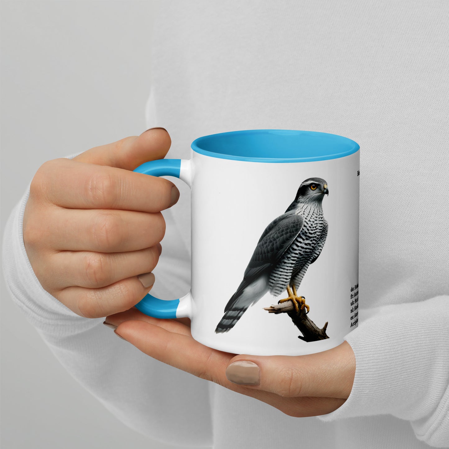 320ml Mug with Colour Inside Birds of Europe 09 Habicht