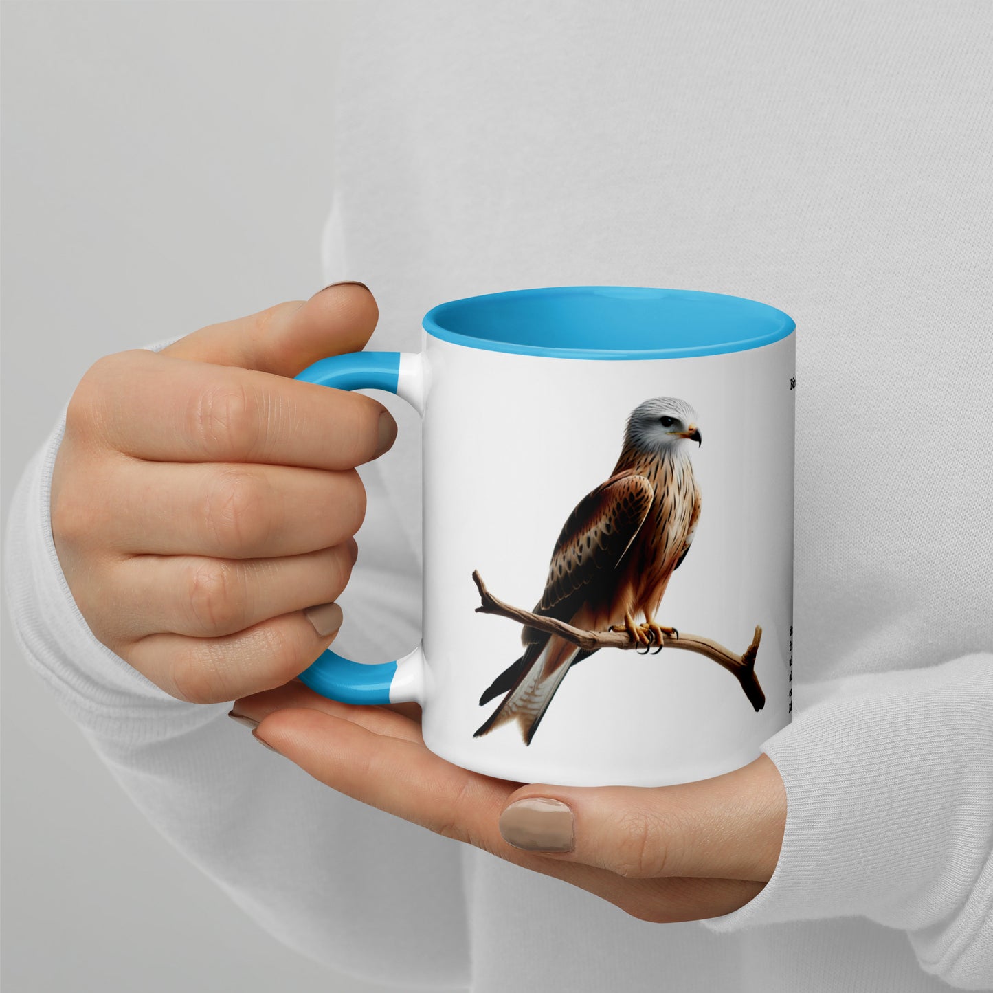 320ml Mug with Colour Inside Birds of Europe 10 Red Kite