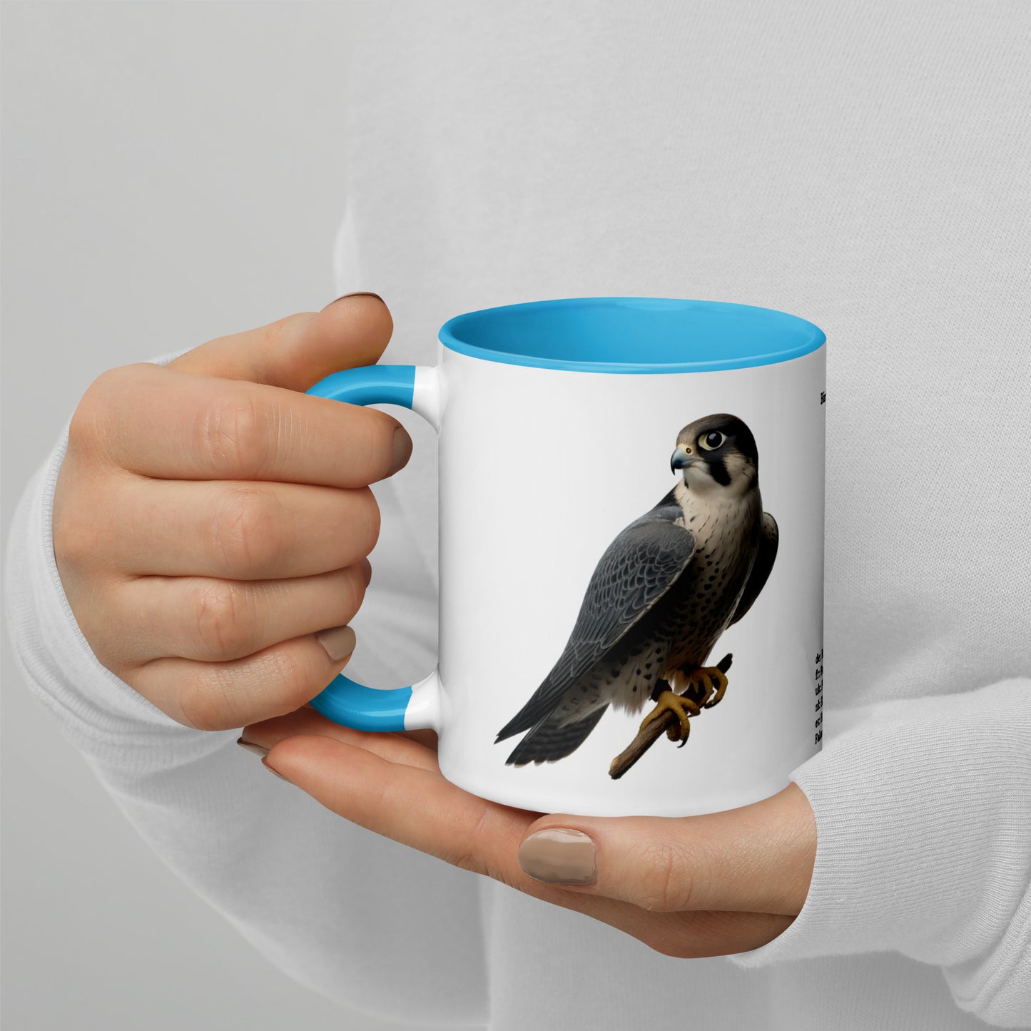 320ml Mug with Colour Inside Birds of Europe 11 Wanderfalke