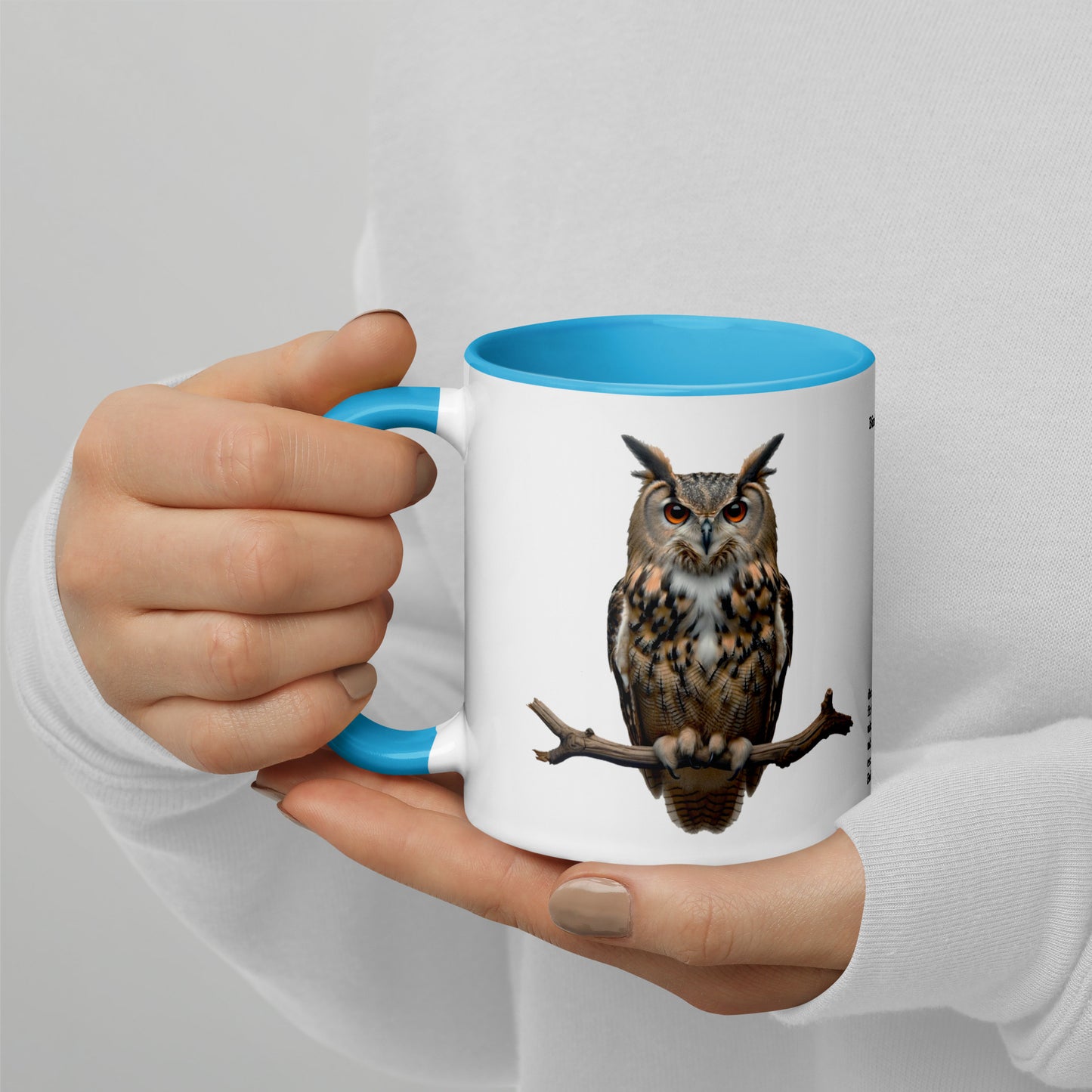 320ml Mug with Colour Inside Birds of Europe 18 Eagle-Owl