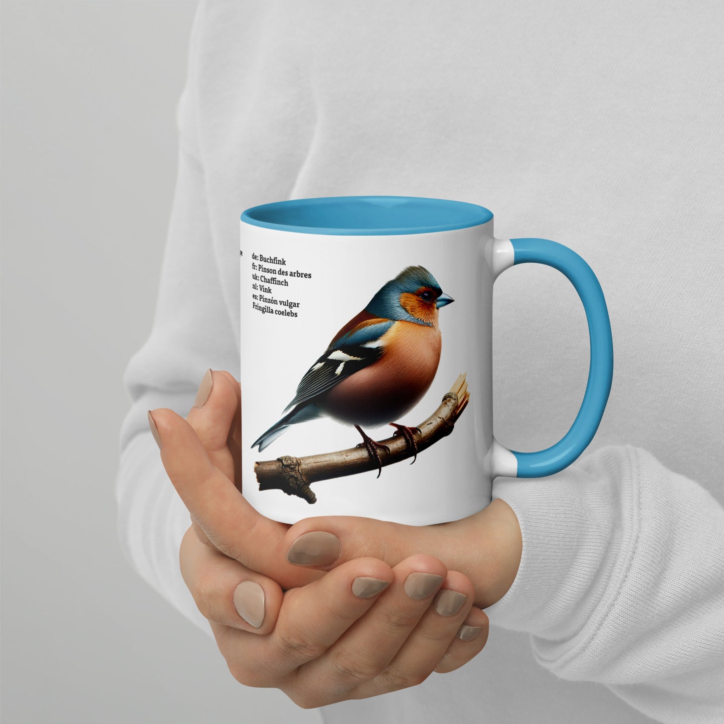 320ml Mug with Colour Inside Birds of Europe 06 Starling & Chaffinch