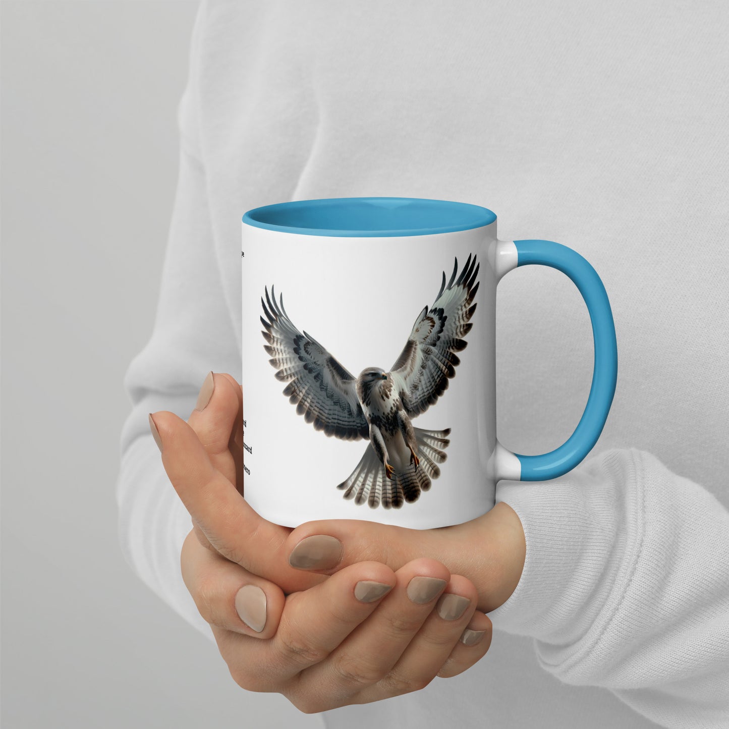 320ml Mug with Colour Inside Birds of Europe 07 Mausebussard