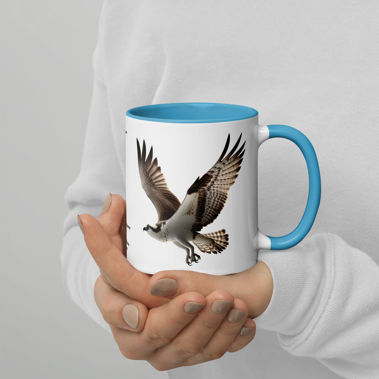 320ml Mug with Colour Inside Birds of Europe 13 Fischadler