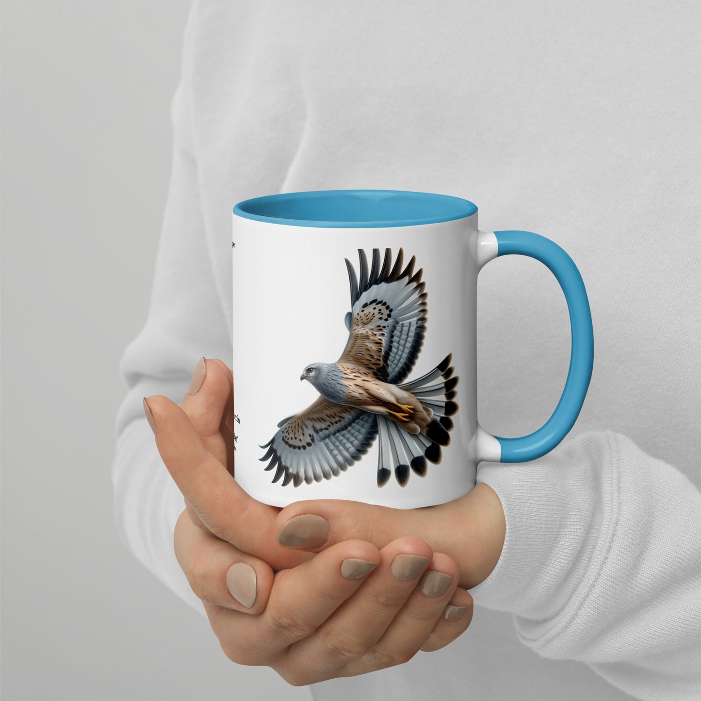 320ml Mug with Colour Inside Birds of Europe 14 Kornweihe