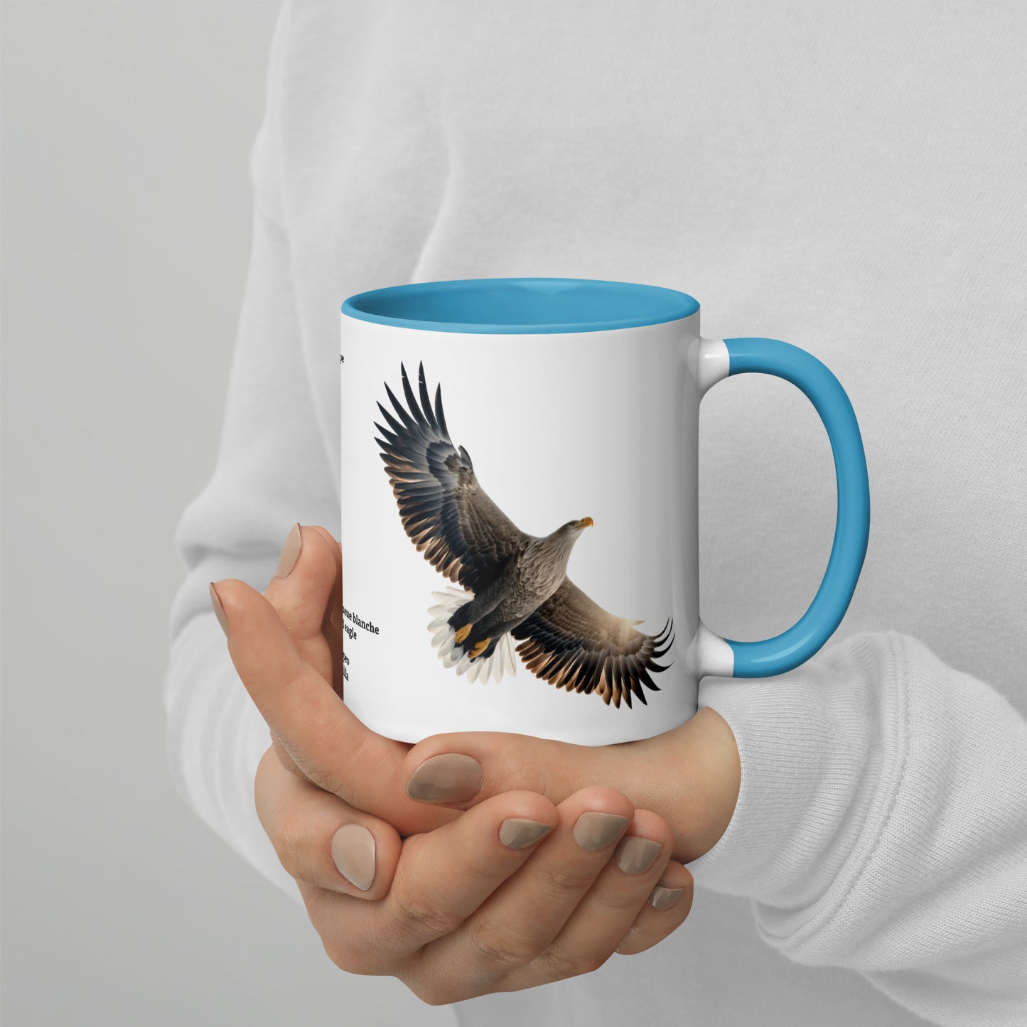 320ml Mug with Colour Inside Birds of Europe 15 Seeadler