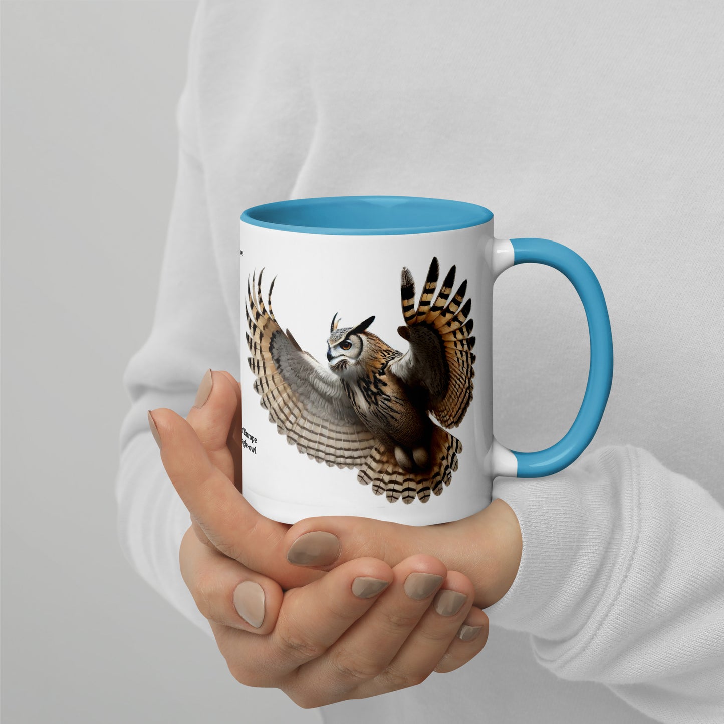 320ml Mug with Colour Inside Birds of Europe 18 Eagle-Owl