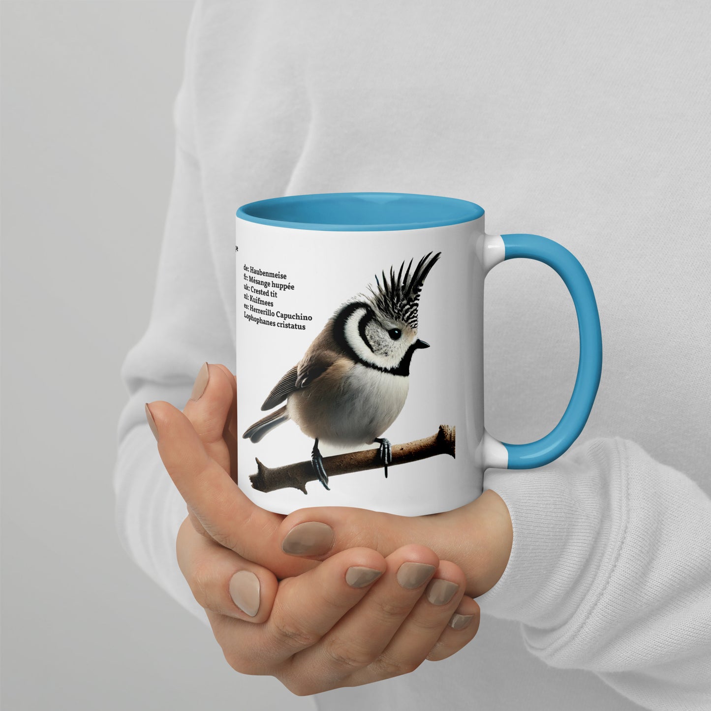 320ml Mug with Colour inside Birds of Europe 01 Sparrow & Crested Tit