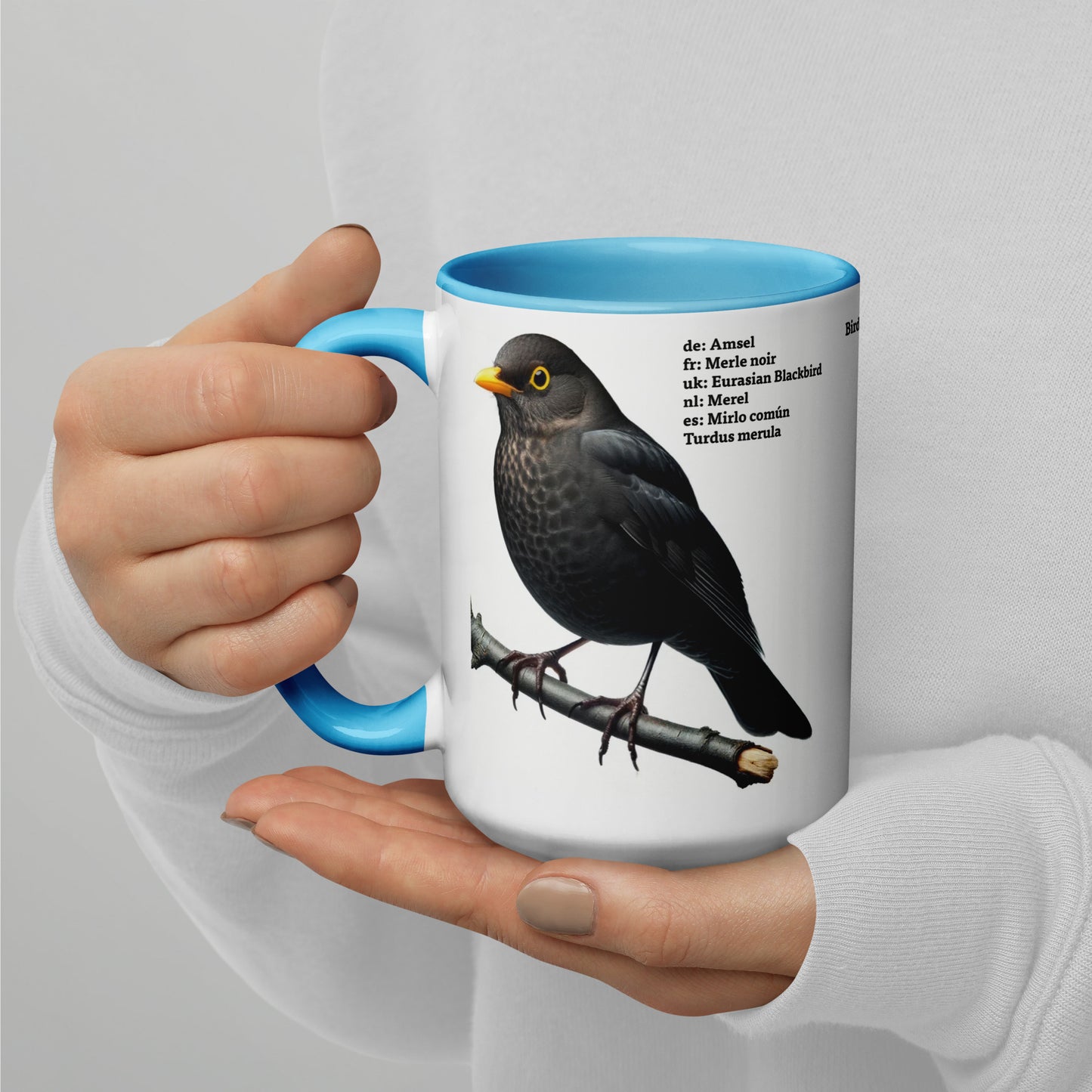 440ml Mug with colour inside Birds of Europe 03 Blackbird & Robin