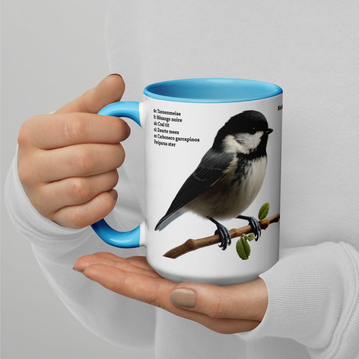 440ml Mug with colour inside Birds of Europe 04 Coal Tit & Collared Dove