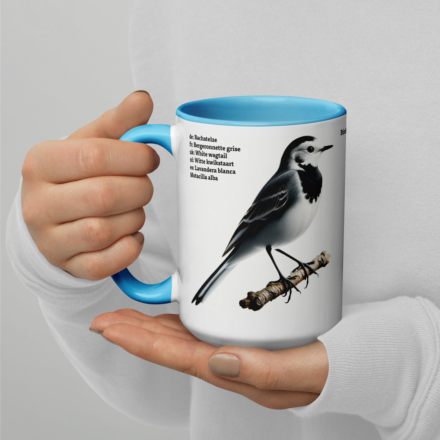 440ml Mug with colour inside Birds of Europe 05 White wagtail & Yellowhammer