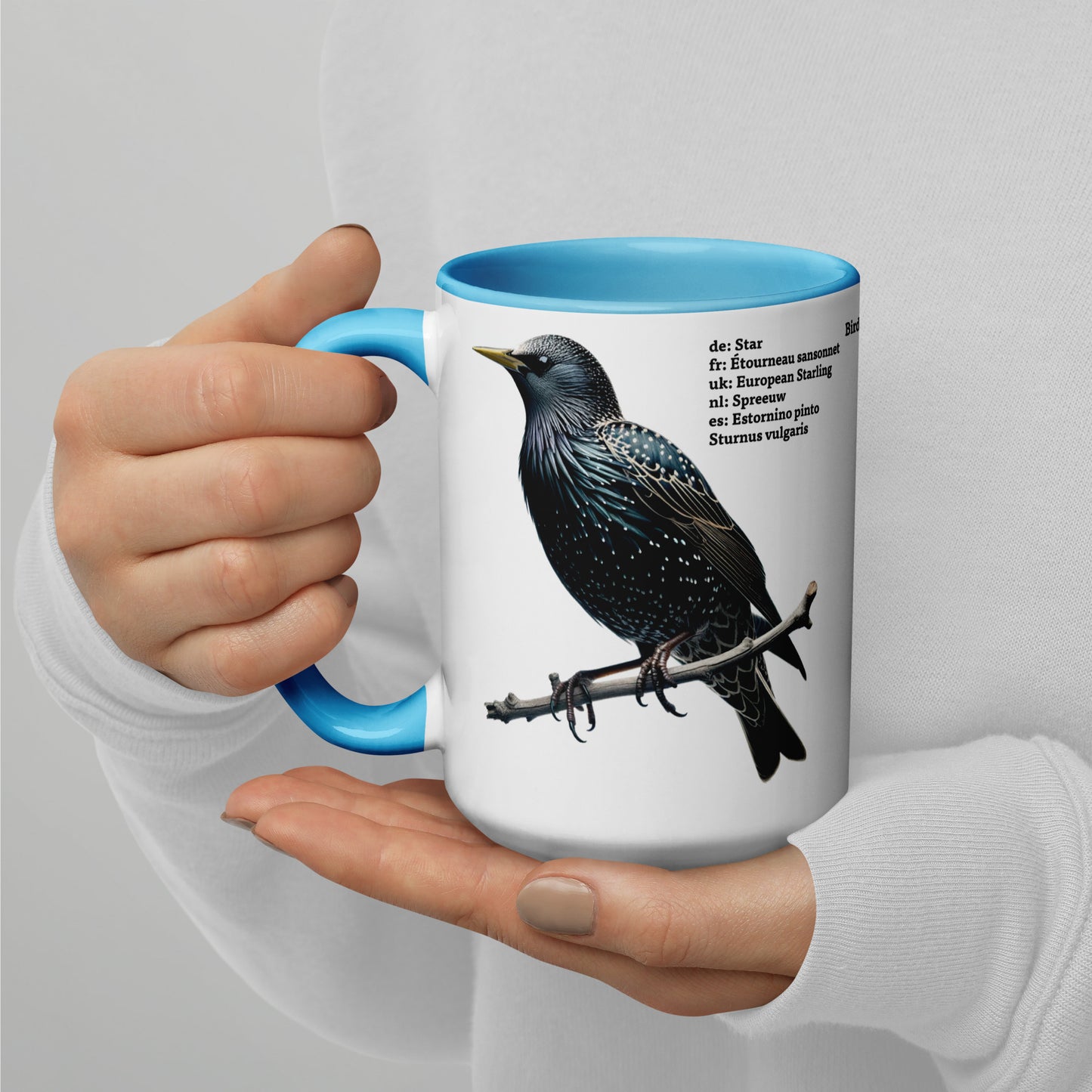 440ml Mug with colour inside Birds of Europe 06 Starling & Chaffinch