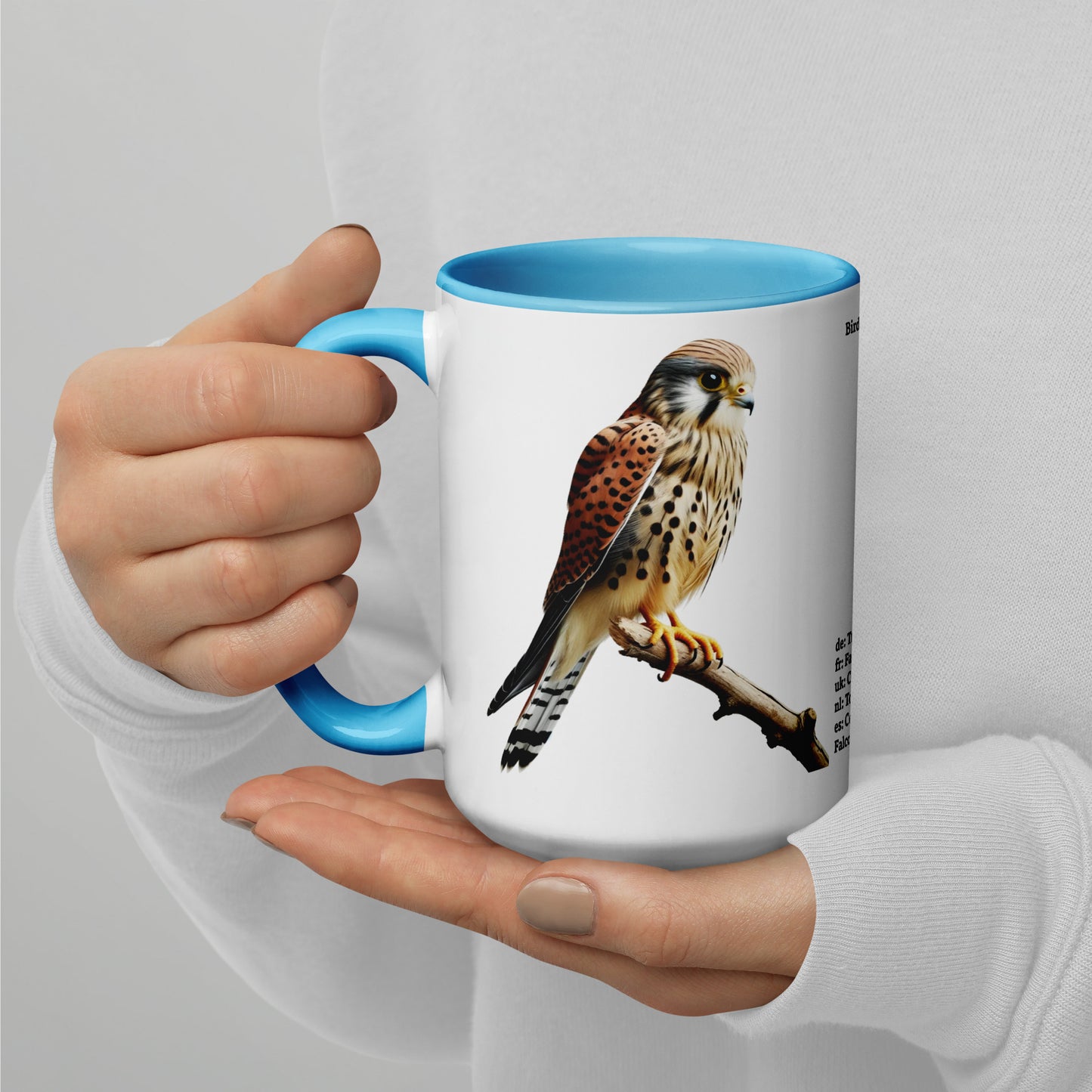 440ml Mug with colour inside Birds of Europe 08 Kestrel