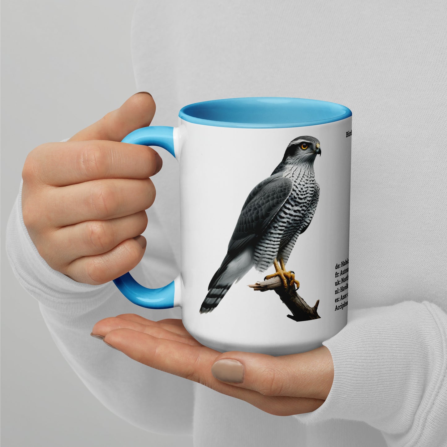 440ml Mug with colour inside Birds of Europe 09 Northern Goshawk