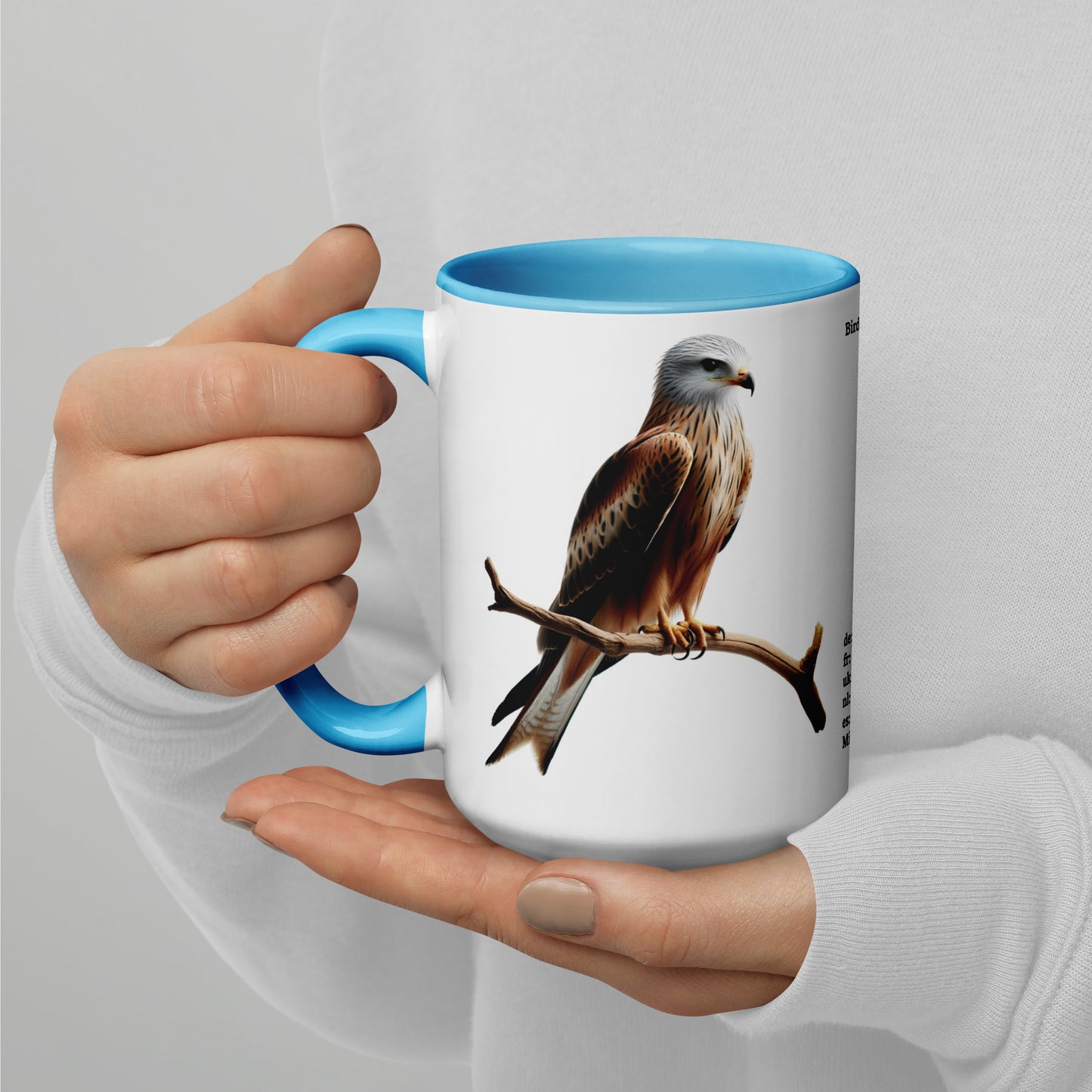 440ml Mug with colour inside Birds of Europe 10 Red Kite