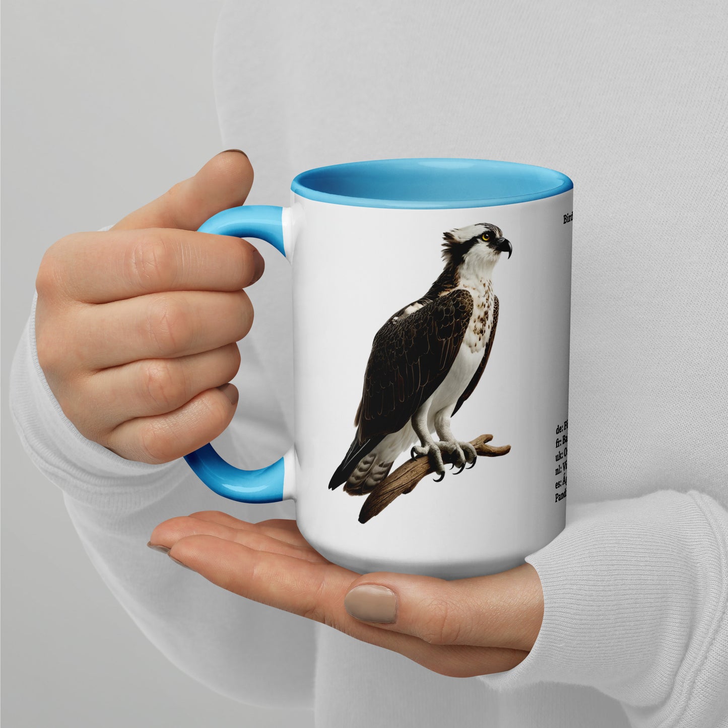 440ml Mug with colour inside Birds of Europe 13 Osprey