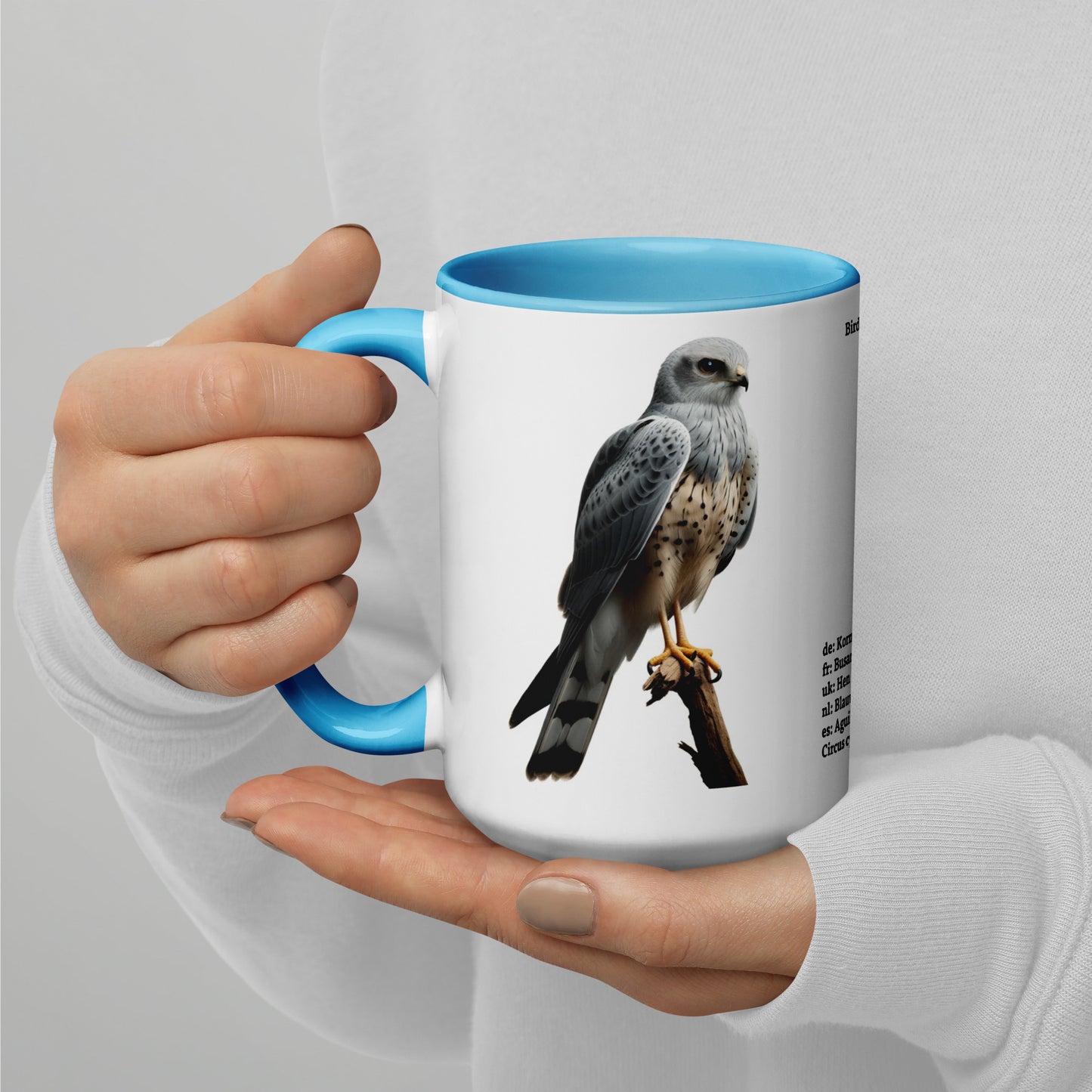 440ml Mug with colour inside Birds of Europe 14 Hen Harrier