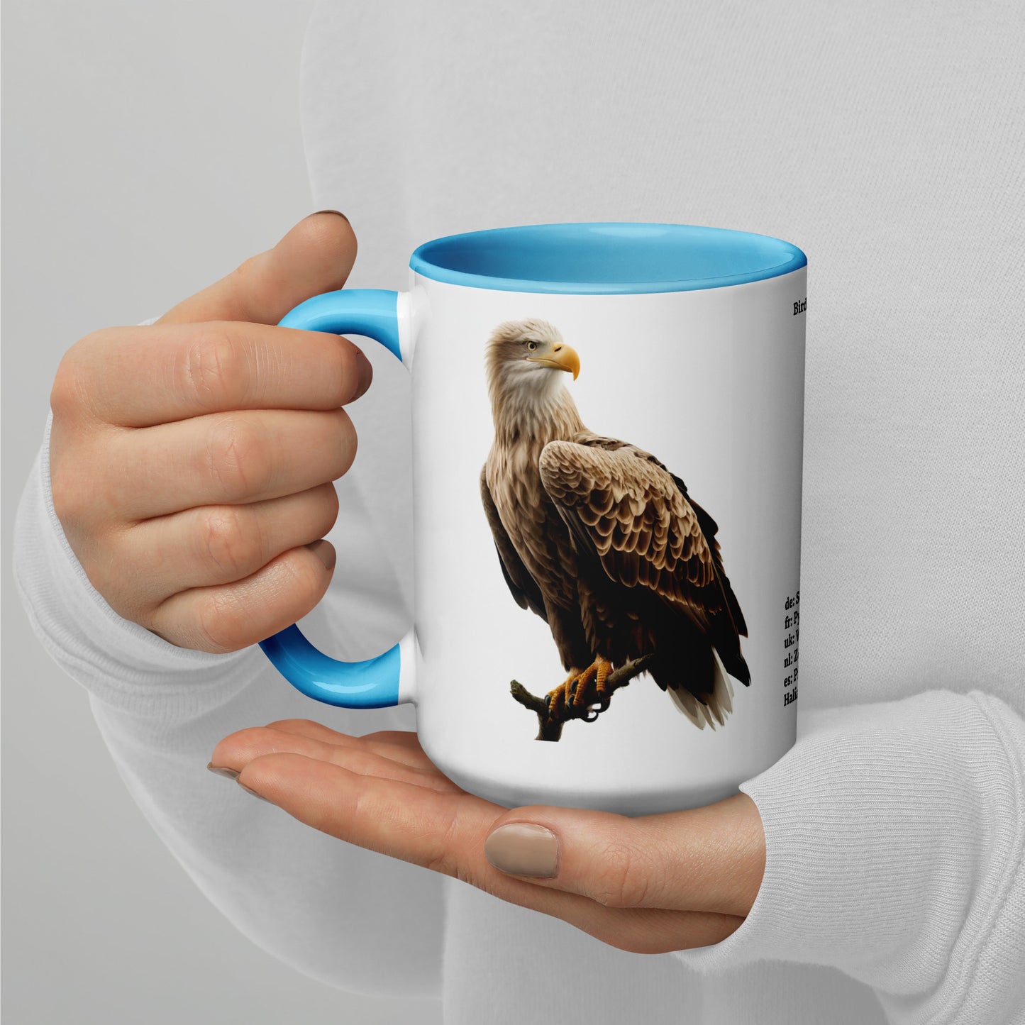 440ml Mug with colour inside Birds of Europe 15 White-tailed eagle