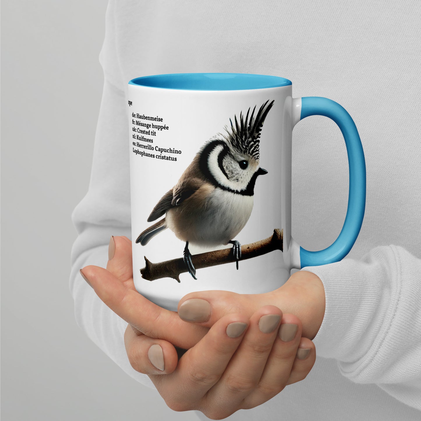 440ml Mug with colour inside Birds of Europe 01 Sparrow & Crested Tit