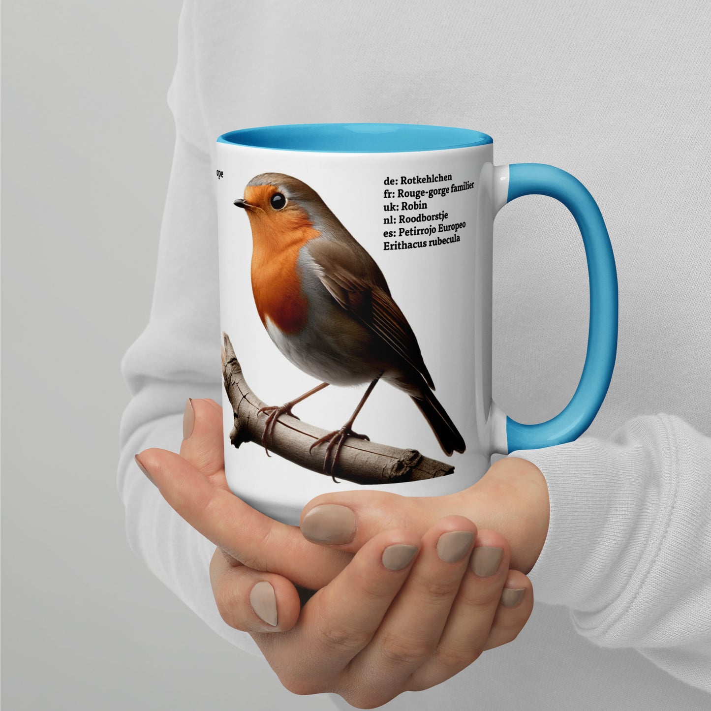 440ml Mug with colour inside Birds of Europe 03 Blackbird & Robin