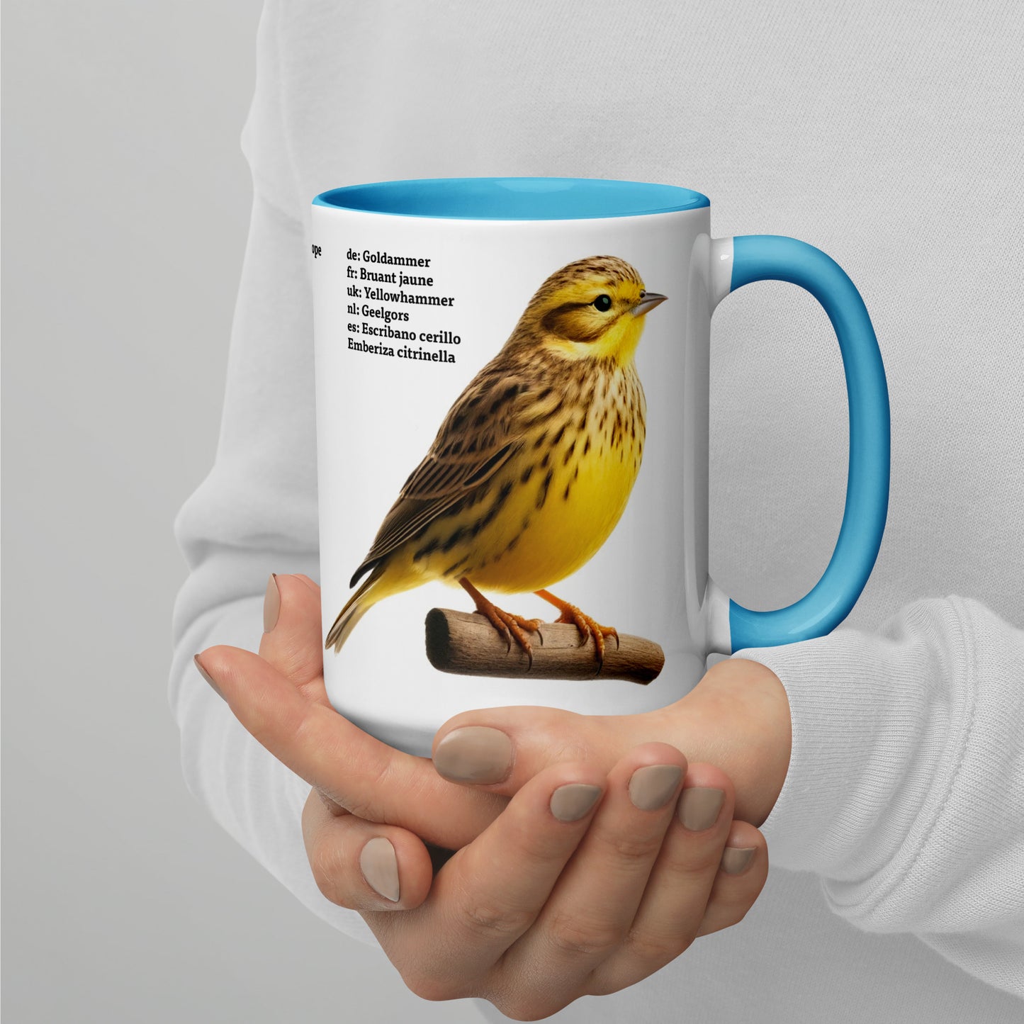 440ml Mug with colour inside Birds of Europe 05 White wagtail & Yellowhammer