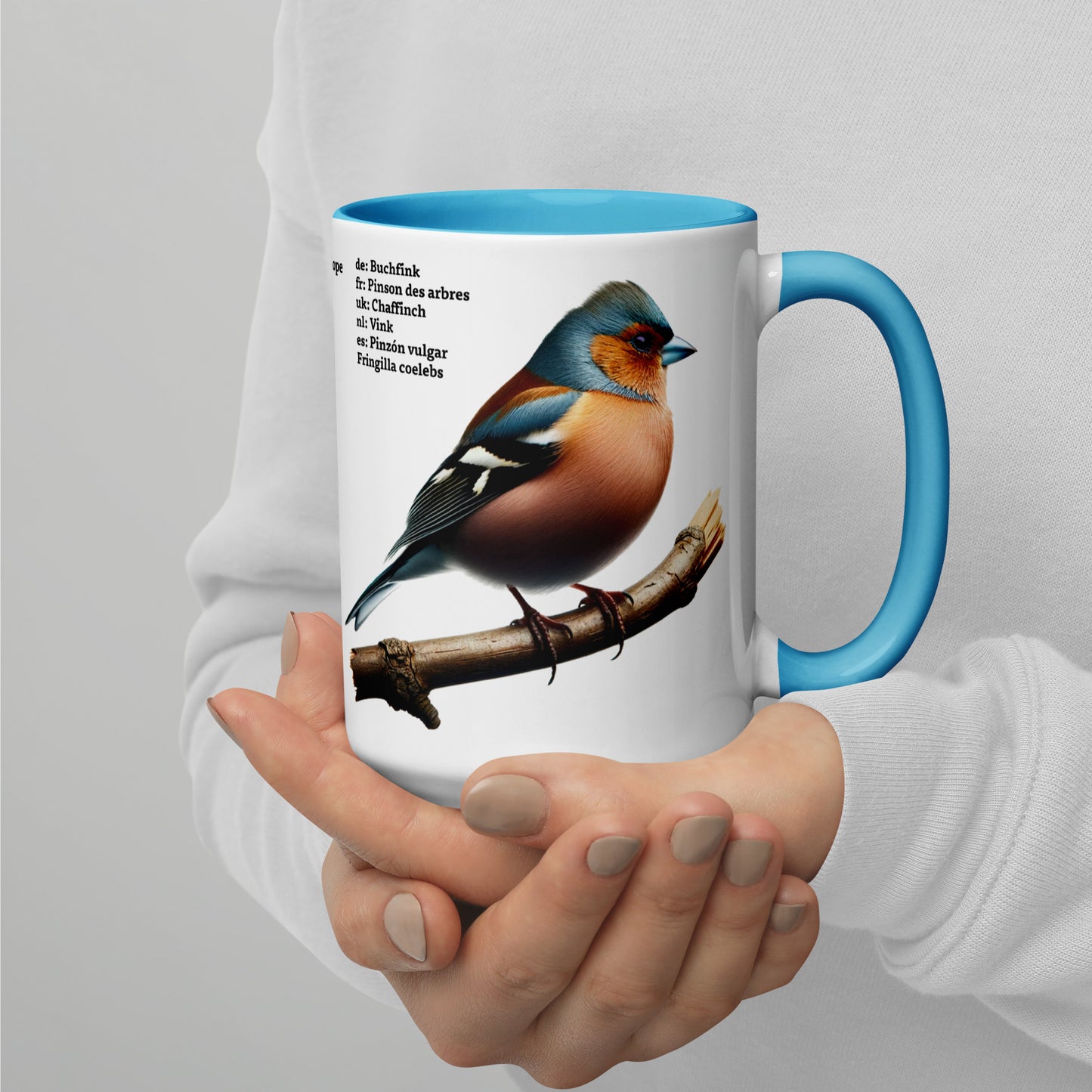 440ml Mug with colour inside Birds of Europe 06 Starling & Chaffinch