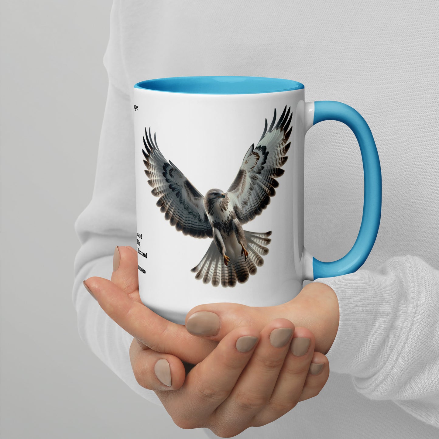 440ml Mug with colour inside Birds of Europe 07 Buzzard