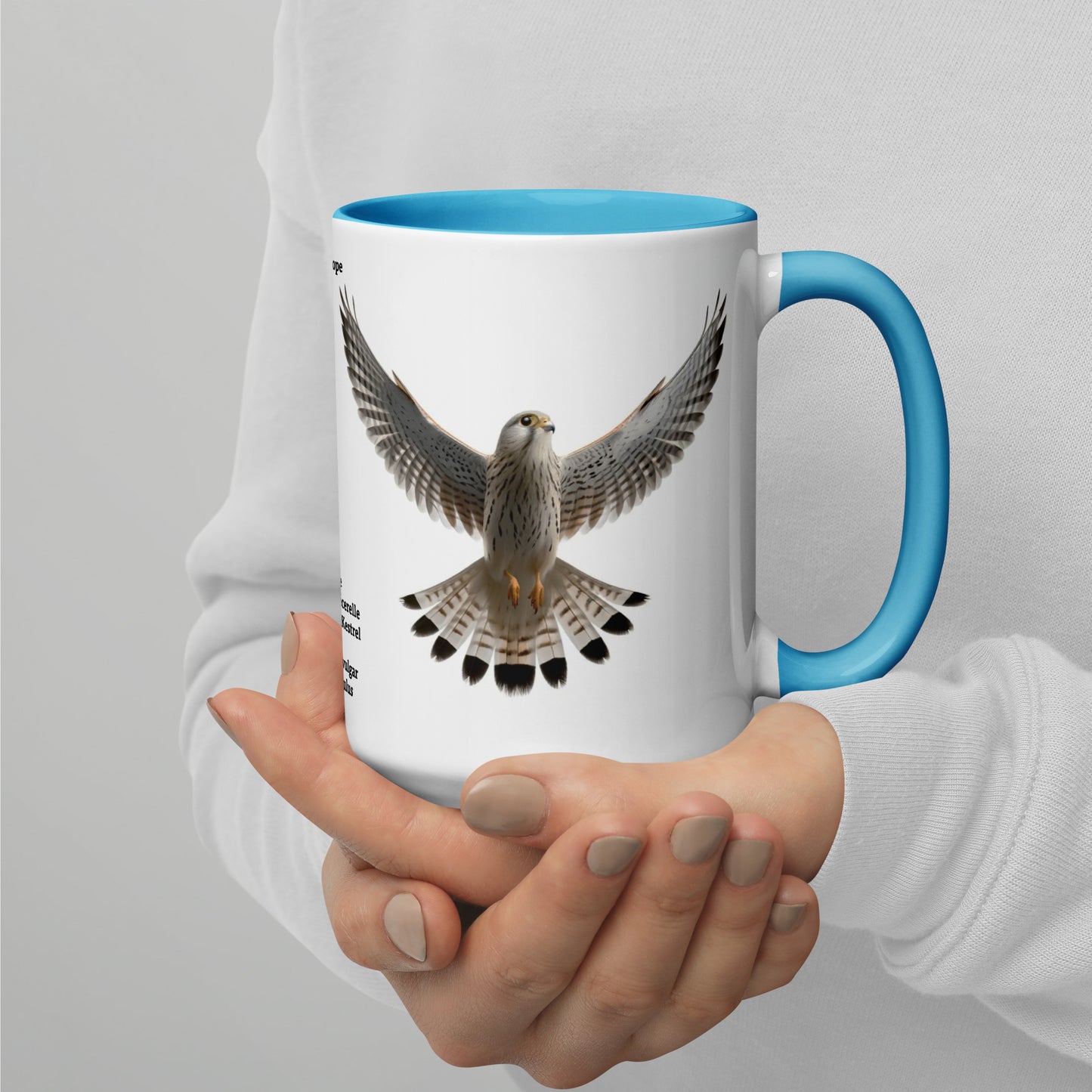 440ml Mug with colour inside Birds of Europe 08 Kestrel