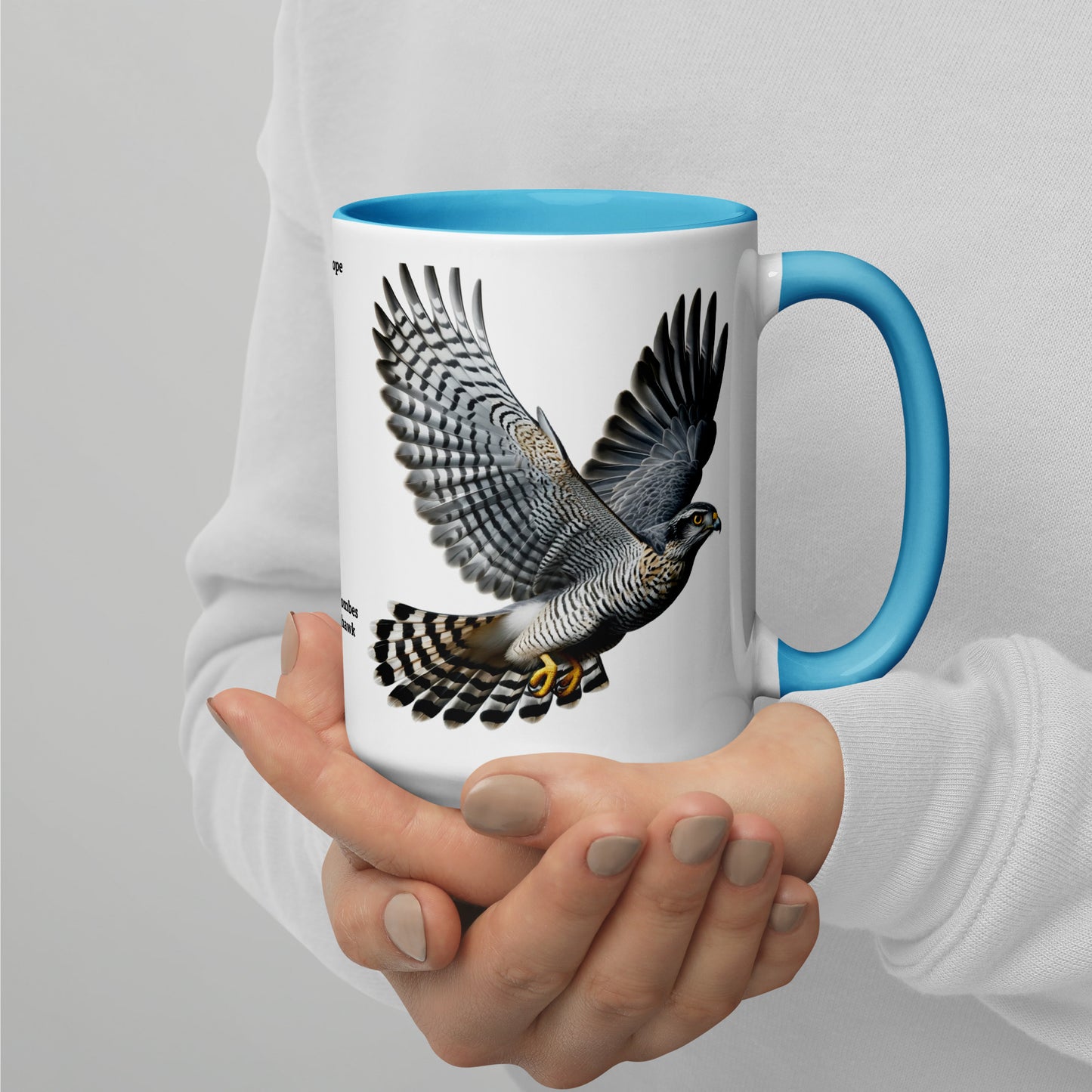 440ml Mug with colour inside Birds of Europe 09 Northern Goshawk