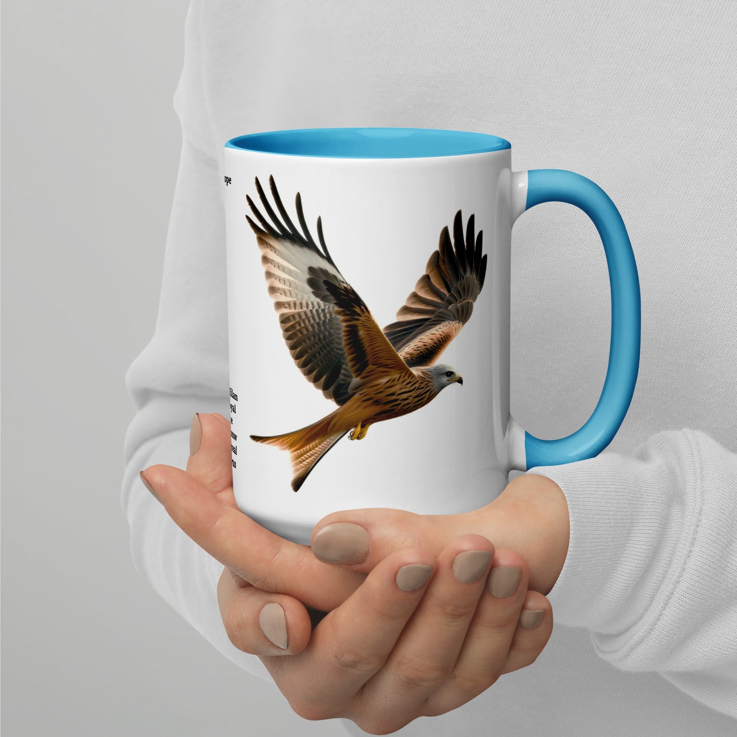 440ml Mug with colour inside Birds of Europe 10 Red Kite