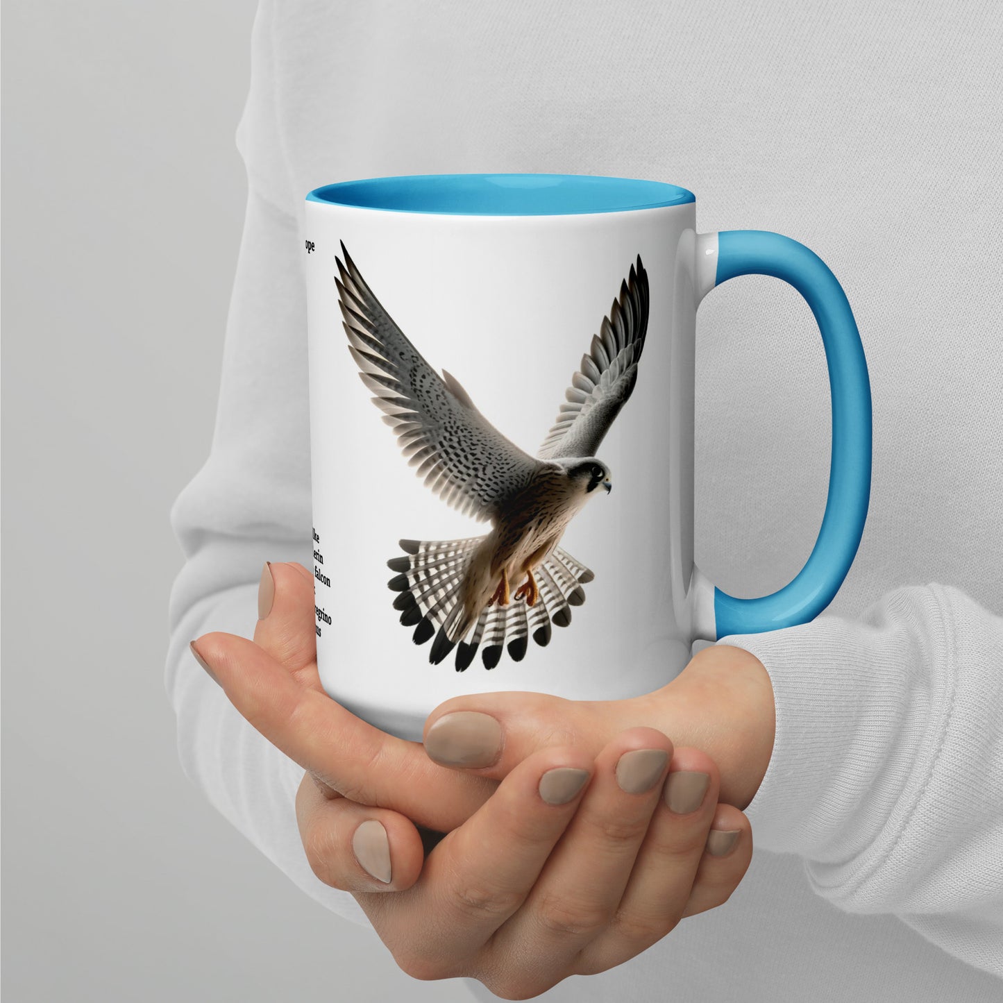 440ml Mug with colour inside Birds of Europe 11 Peregrine falcon