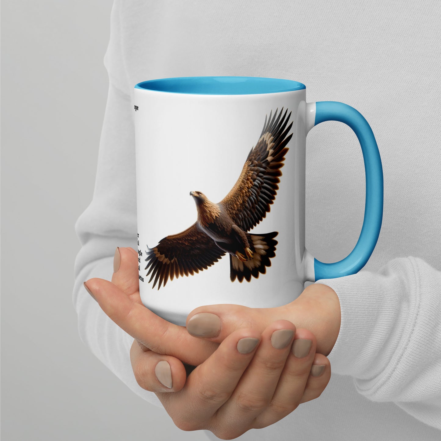 440ml Mug with colour inside Birds of Europe 12 Golden Eagle