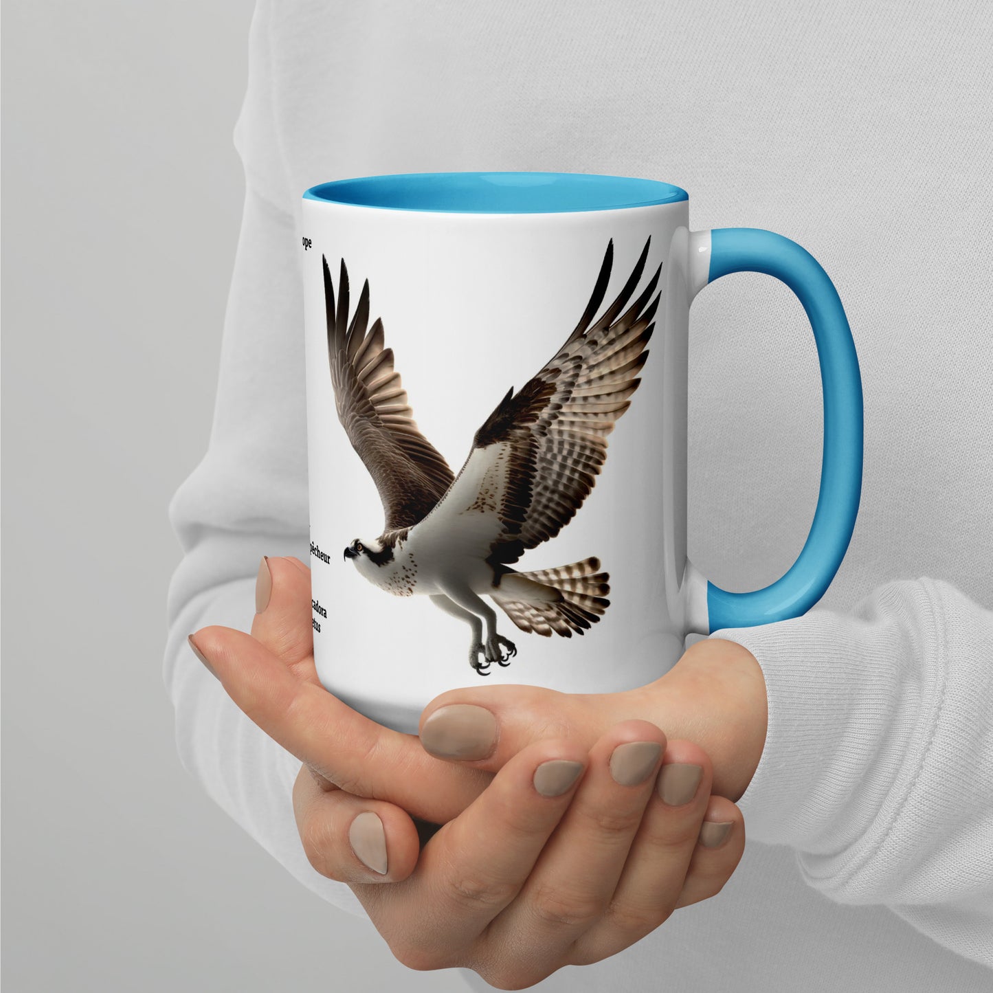 440ml Mug with colour inside Birds of Europe 13 Osprey