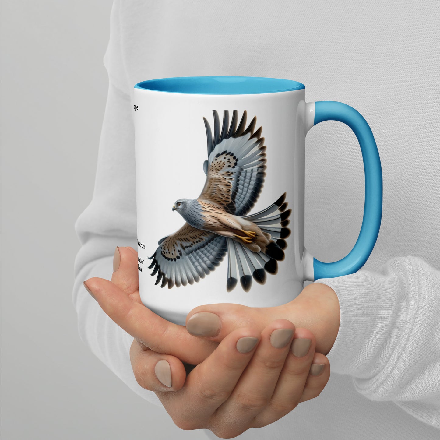 440ml Mug with colour inside Birds of Europe 14 Hen Harrier