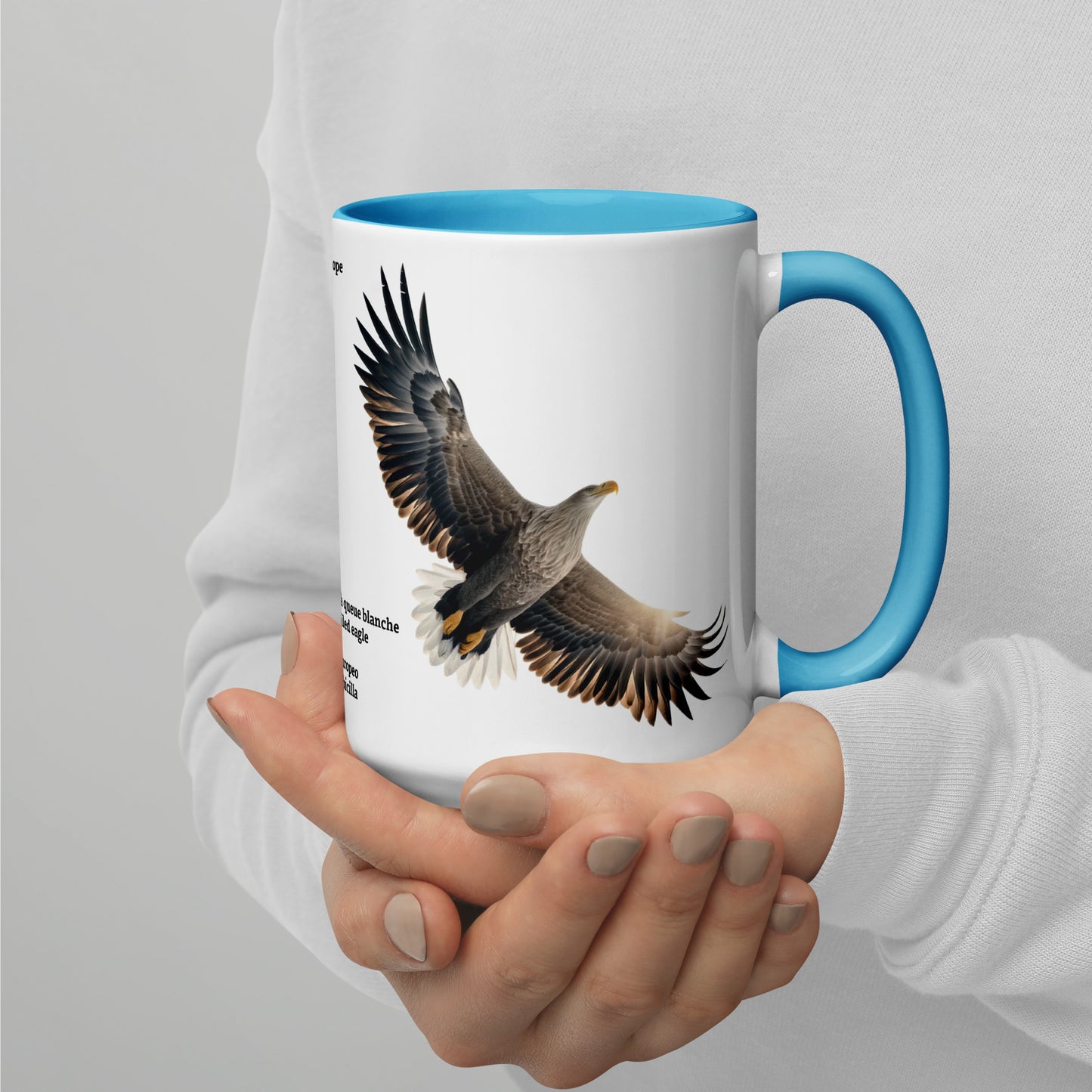 440ml Mug with colour inside Birds of Europe 15 White-tailed eagle