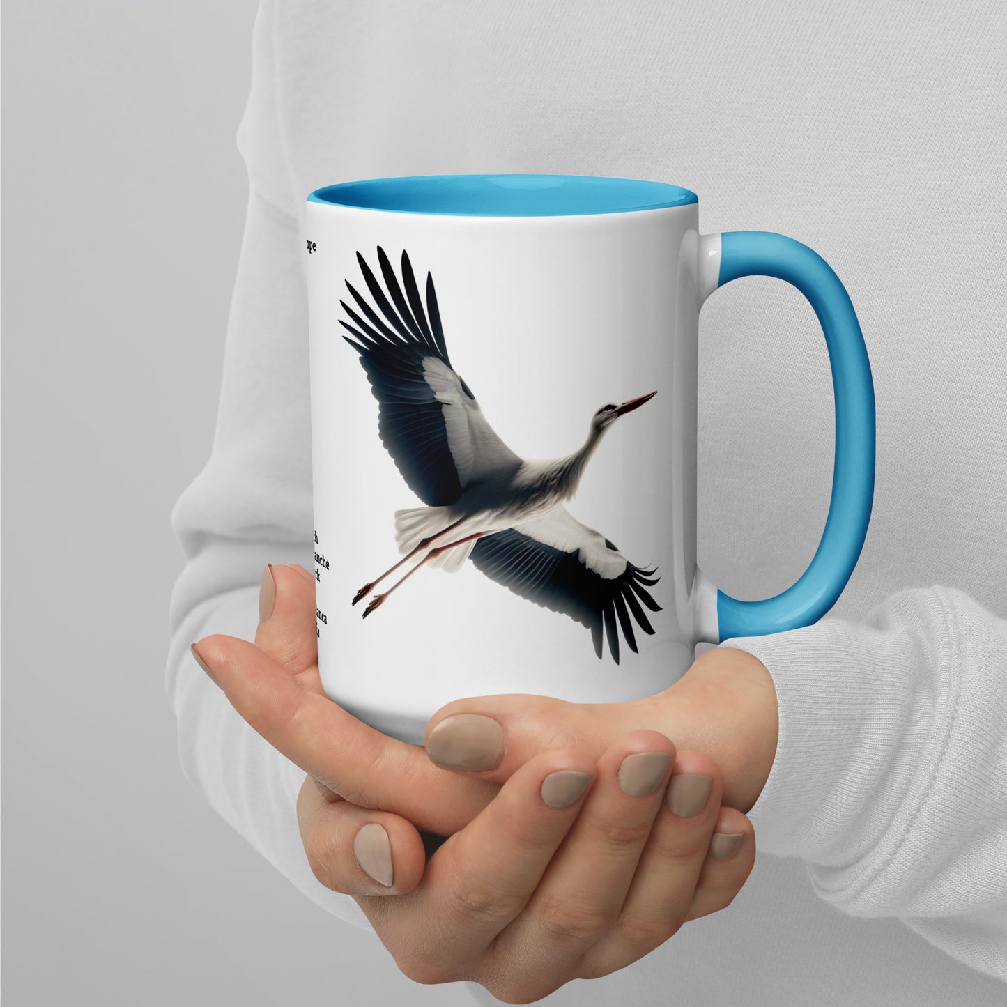 440ml Mug with colour inside Birds of Europe 16 White stork