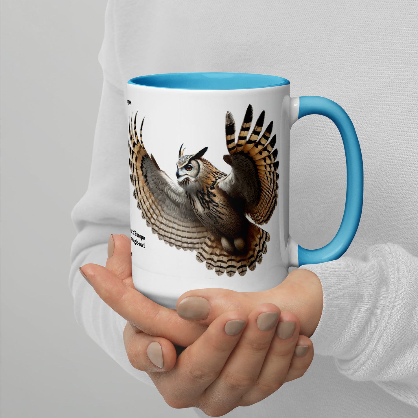 440ml Mug with colour inside Birds of Europe 18 Eagle-owl