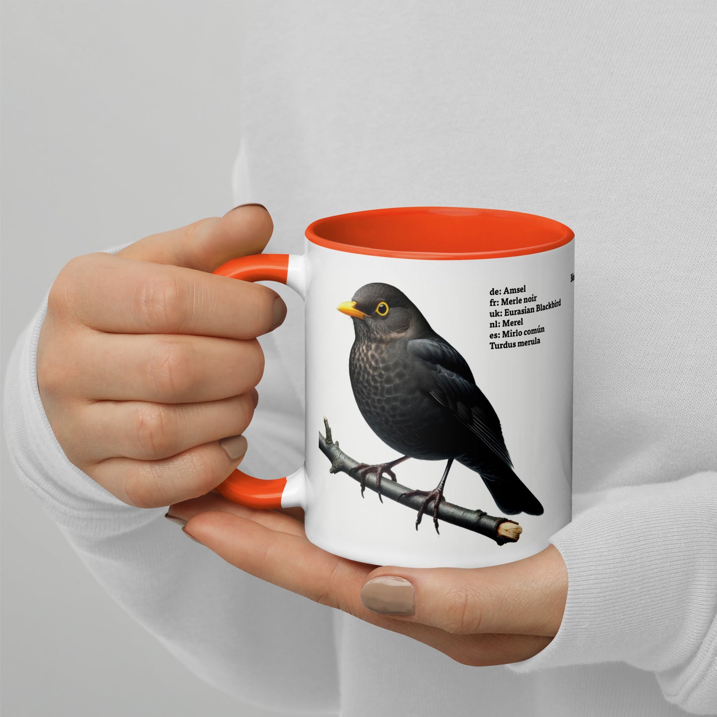 320ml Mug with Colour Inside Birds of Europe 03 Blackbird & Robin