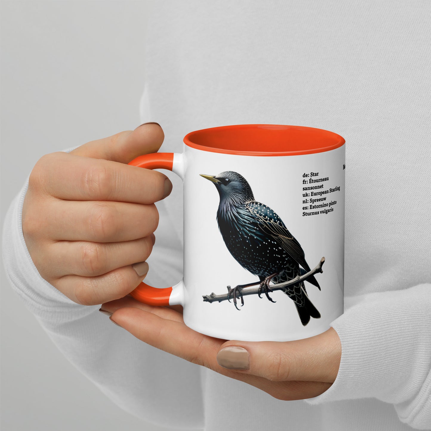 320ml Mug with Colour Inside Birds of Europe 06 Starling & Chaffinch