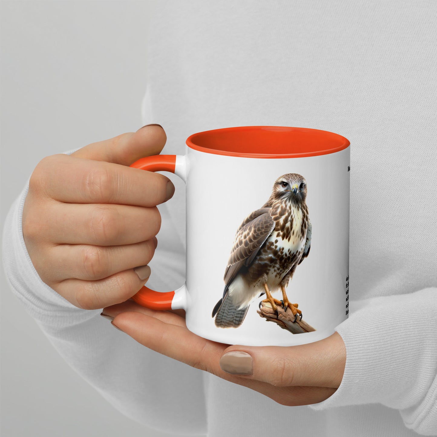 320ml Mug with Colour Inside Birds of Europe 07 Mausebussard