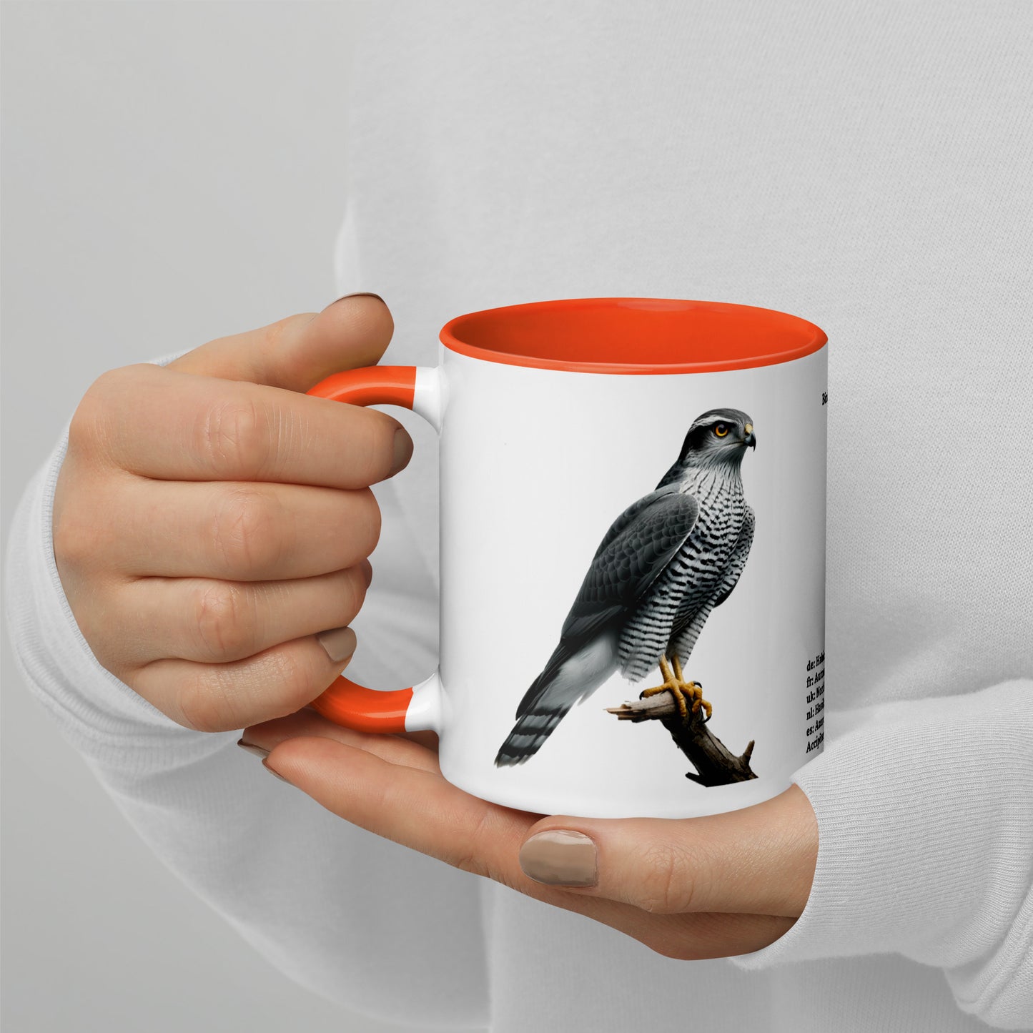 320ml Mug with Colour Inside Birds of Europe 09 Habicht