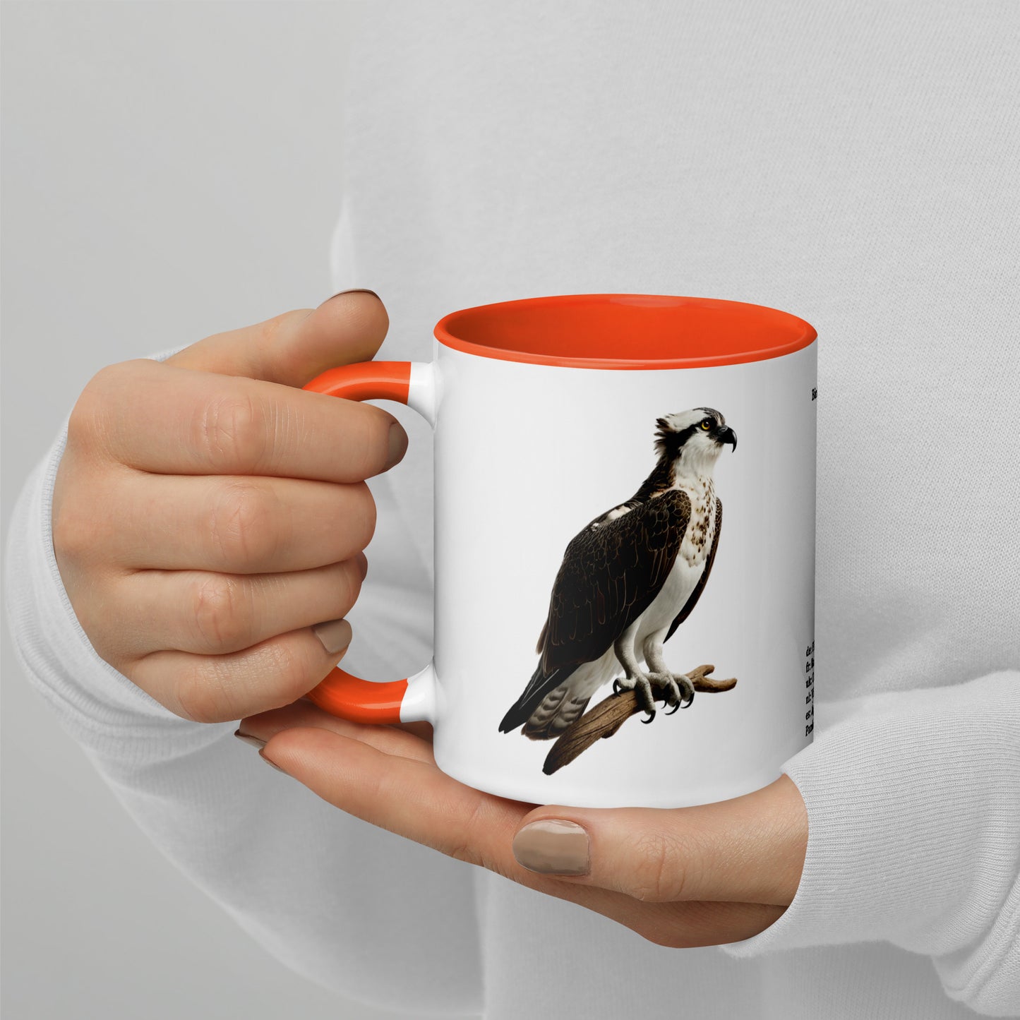 320ml Mug with Colour Inside Birds of Europe 13 Fischadler