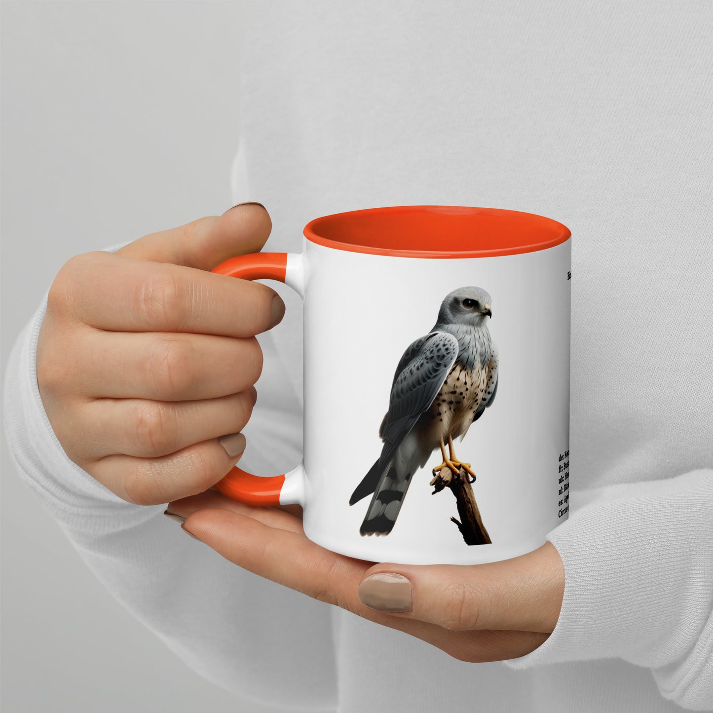 320ml Mug with Colour Inside Birds of Europe 14 Kornweihe