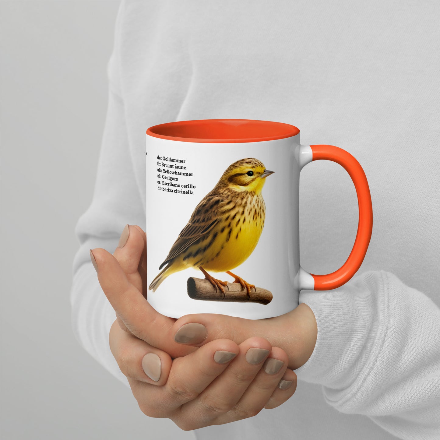 320ml Mug with Colour Inside Birds of Europe 05 White wagtail & Yellowhammer