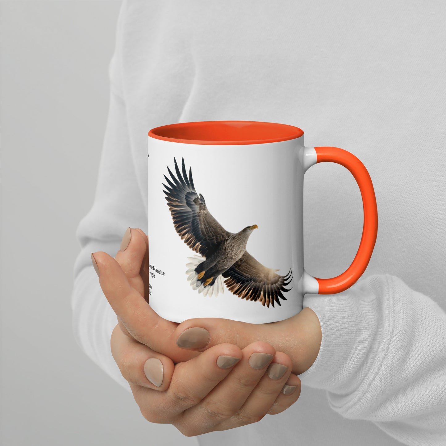 320ml Mug with Colour Inside Birds of Europe 15 Seeadler