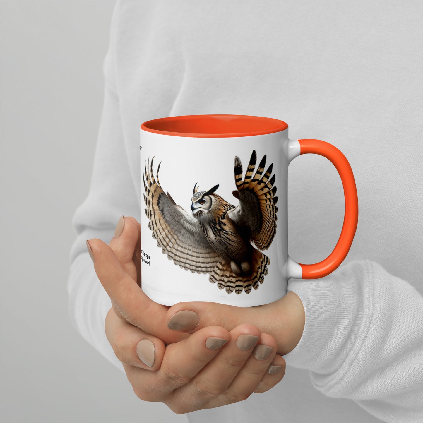 320ml Mug with Colour Inside Birds of Europe 18 Eagle-Owl