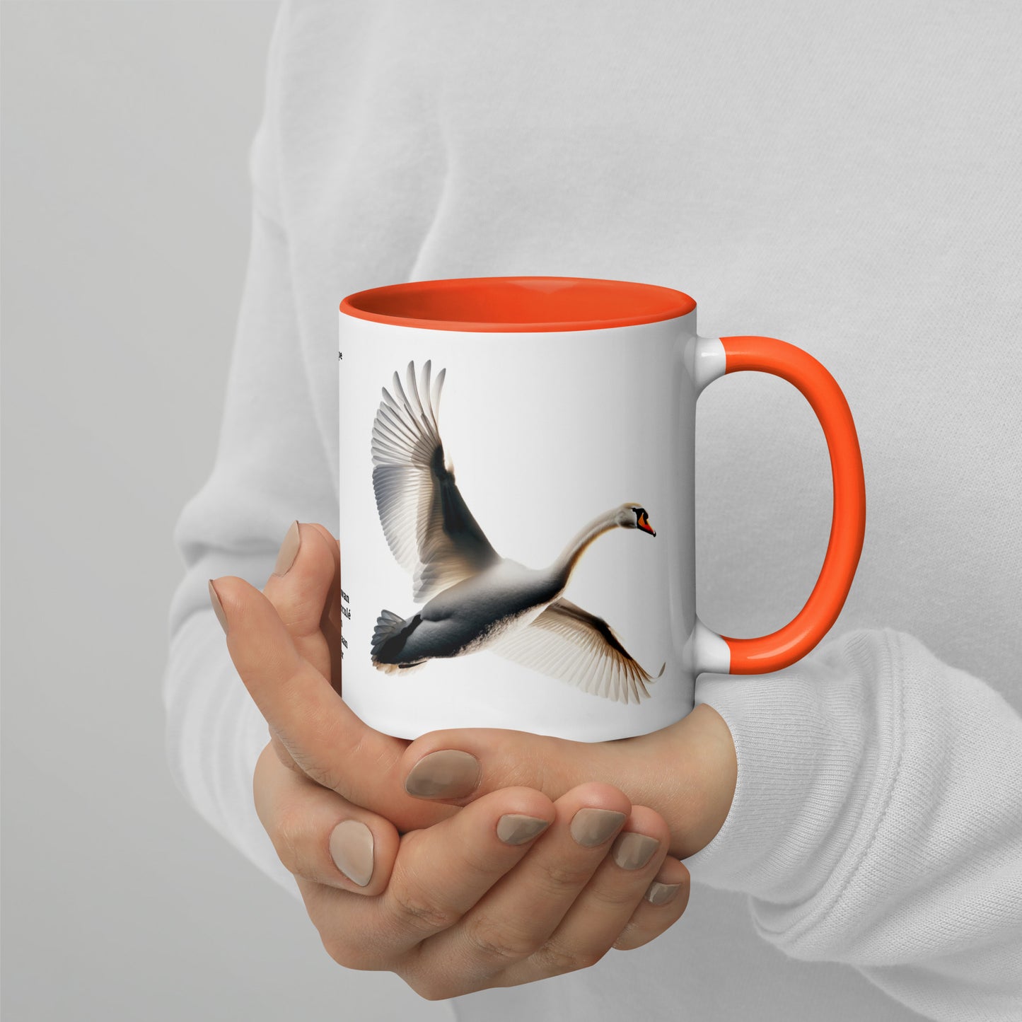 320ml Mug with Colour Inside Birds of Europe 19 Mute Swan