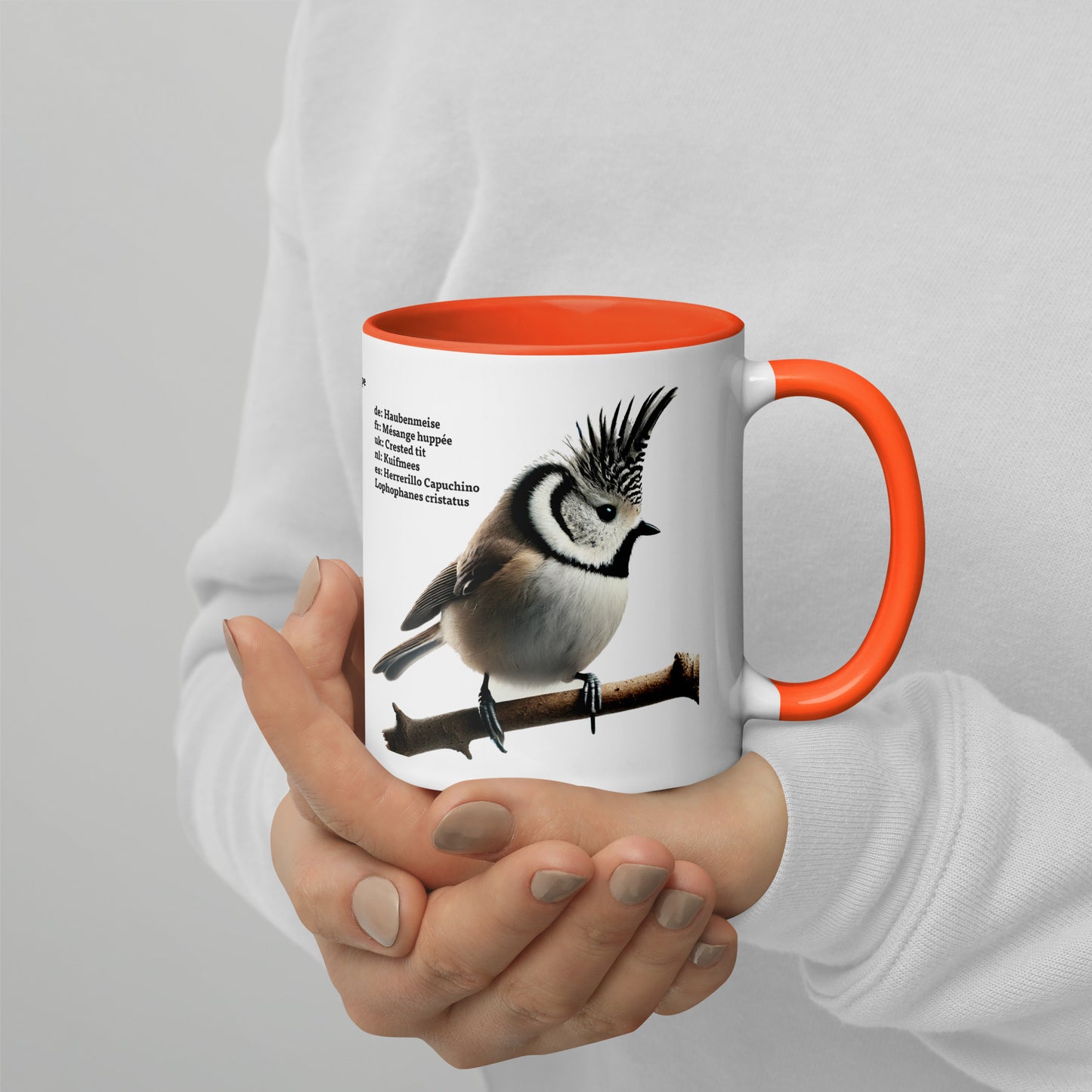 320ml Mug with Colour inside Birds of Europe 01 Sparrow & Crested Tit