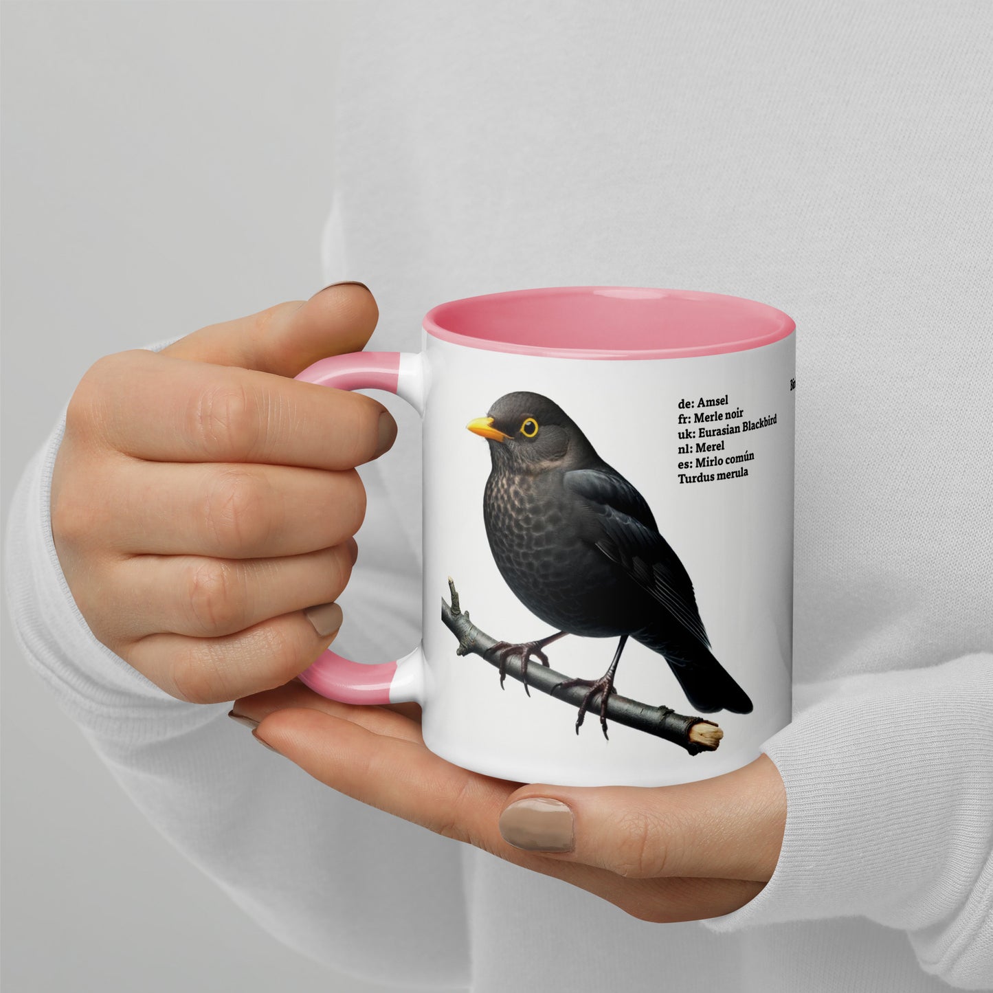 320ml Mug with Colour Inside Birds of Europe 03 Blackbird & Robin