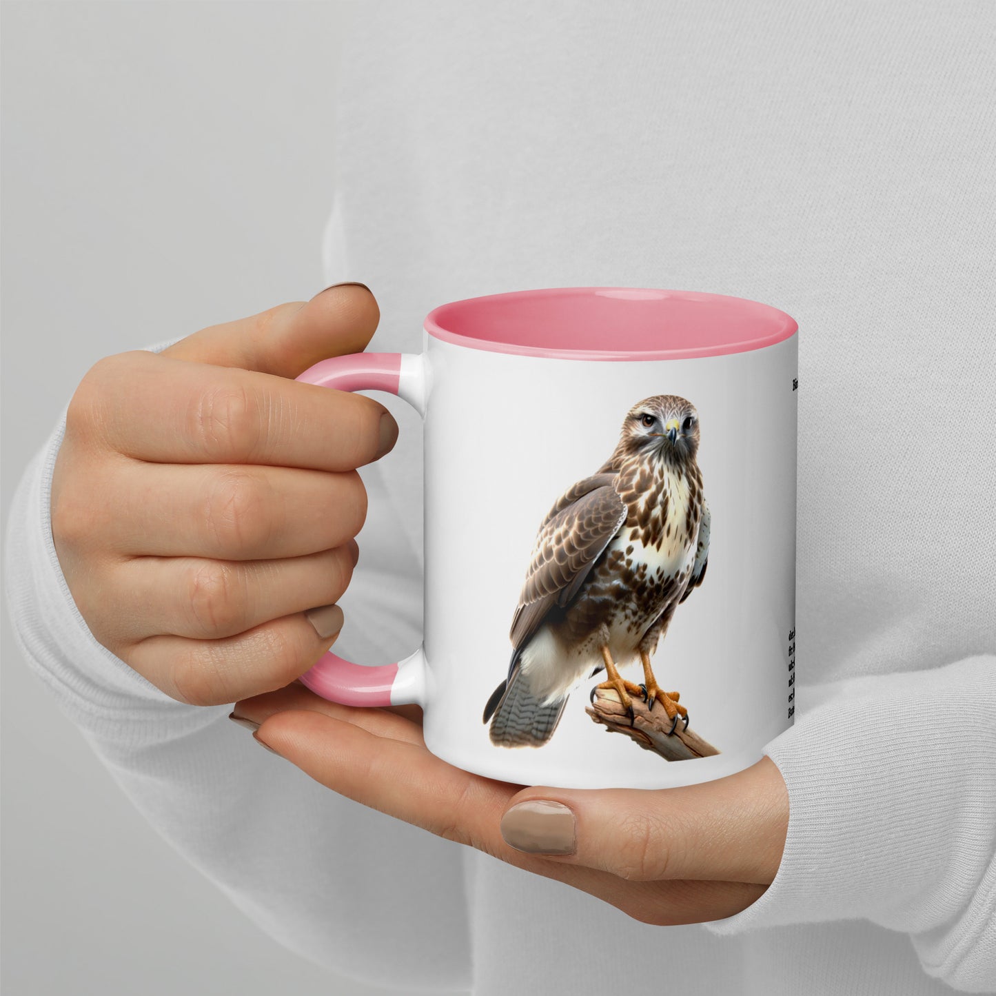 320ml Mug with Colour Inside Birds of Europe 07 Mausebussard